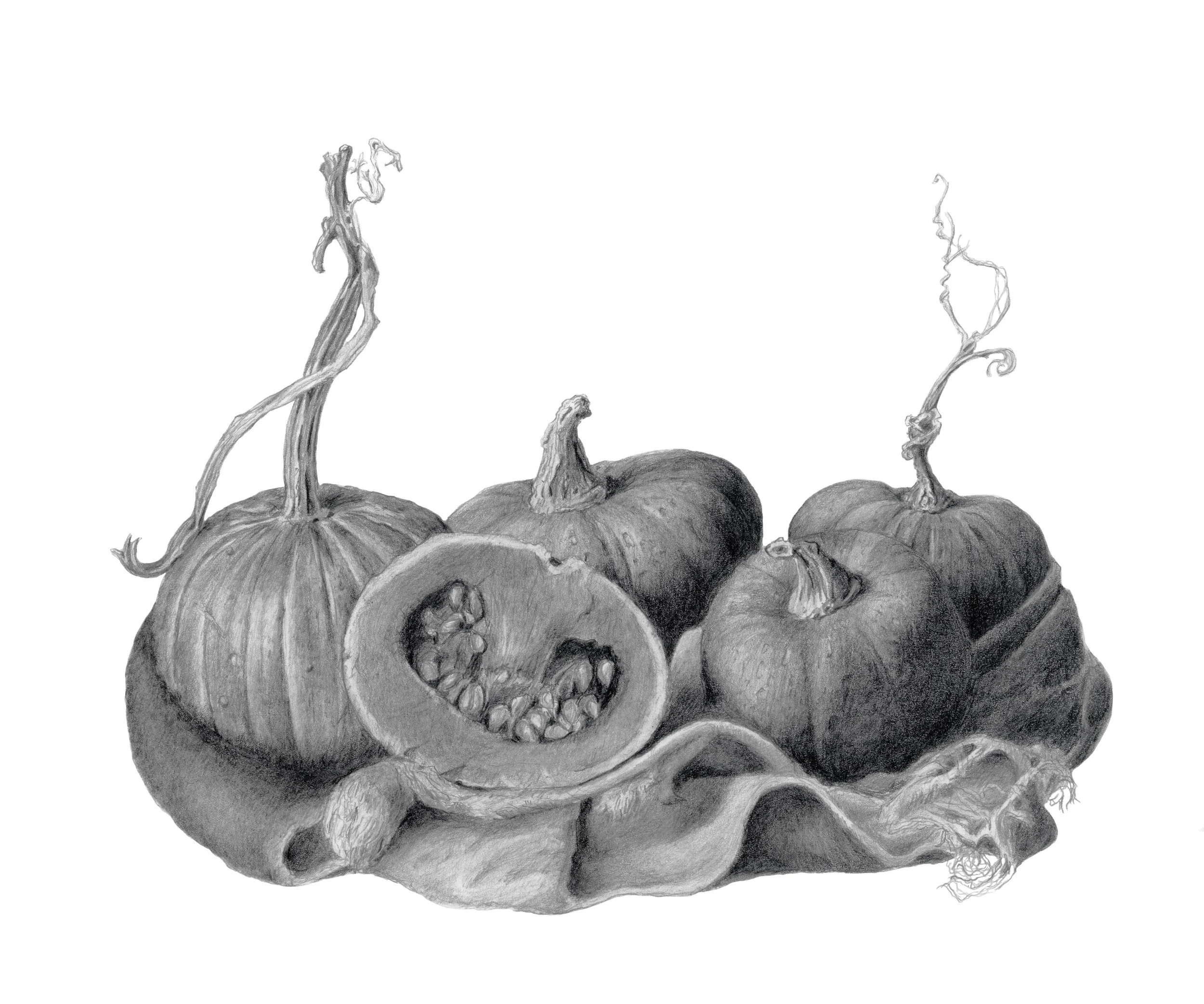 Graphite - Pumpkins (lo contrast).jpg