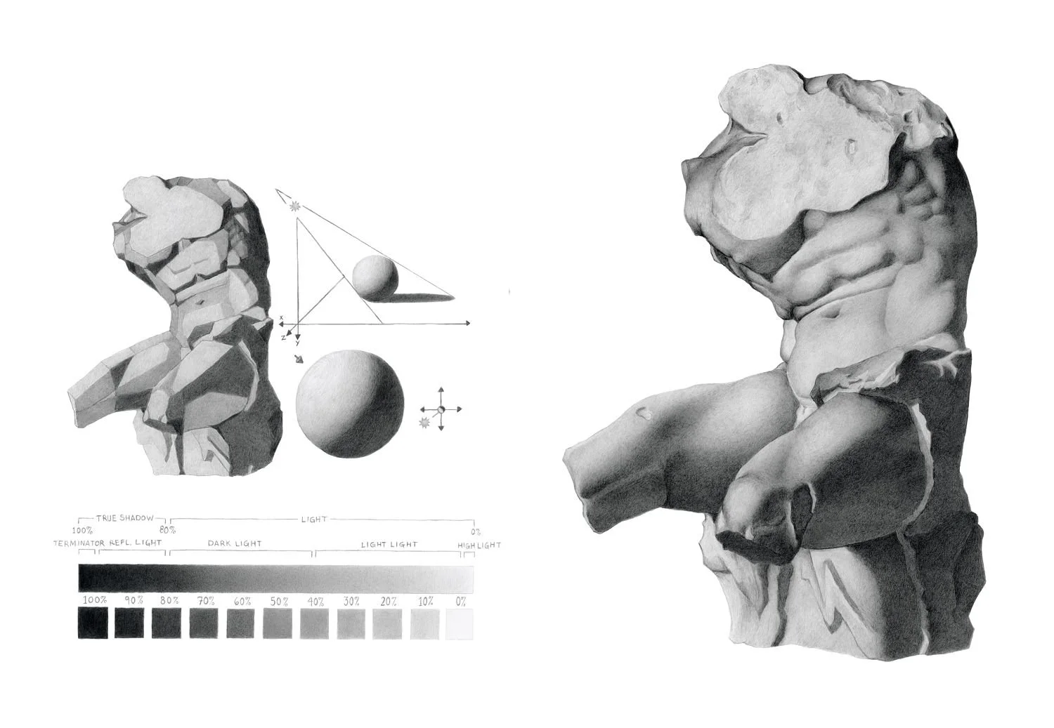 Graphite - Belvedere Torso (Small).jpg