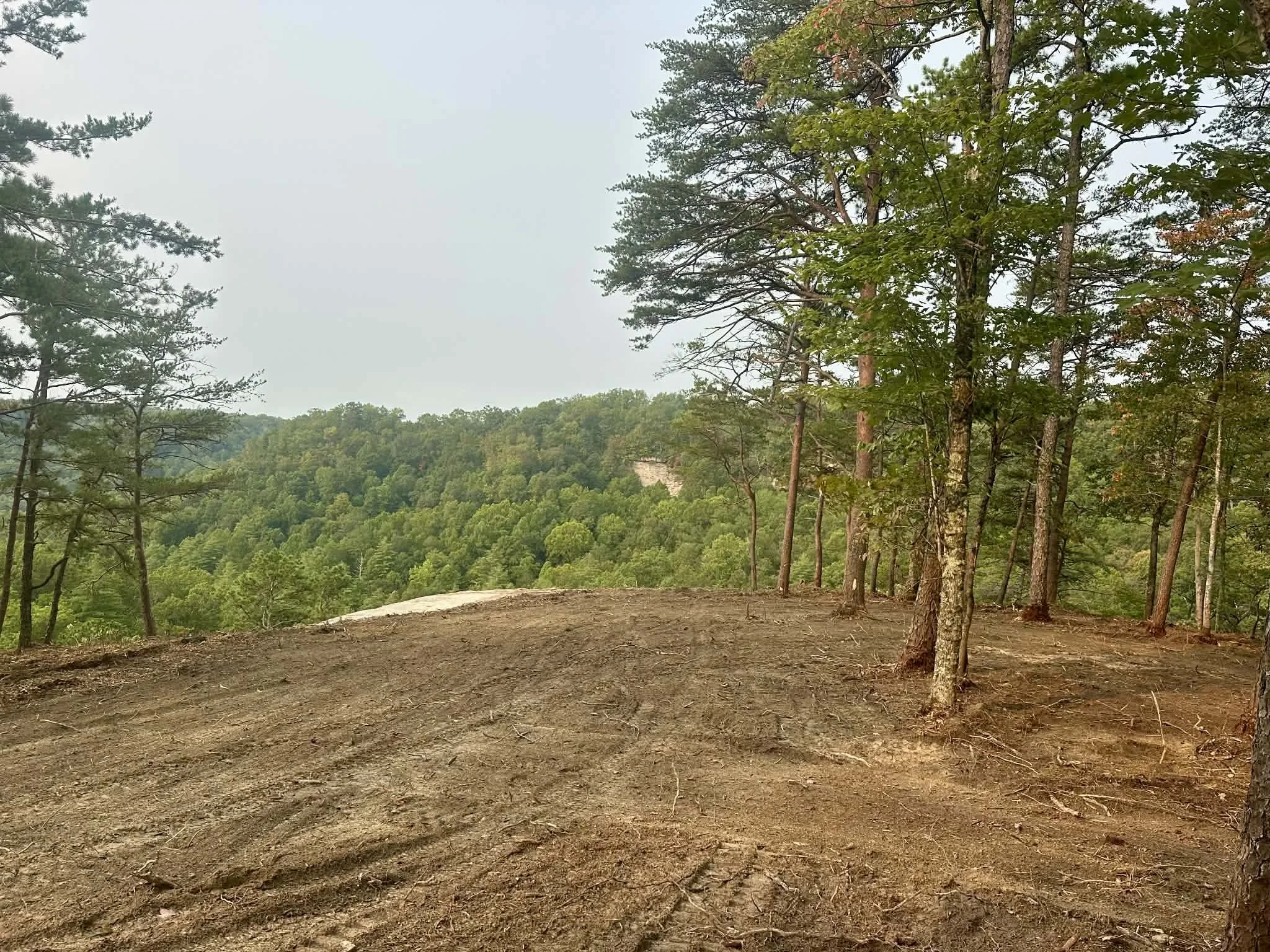 overlook cleared 2.jpg