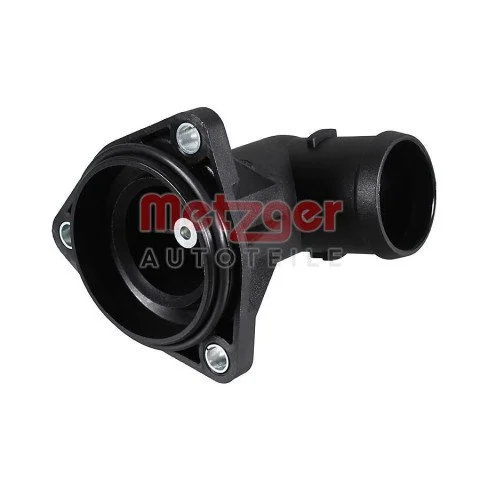 Metzger40105961.jpg