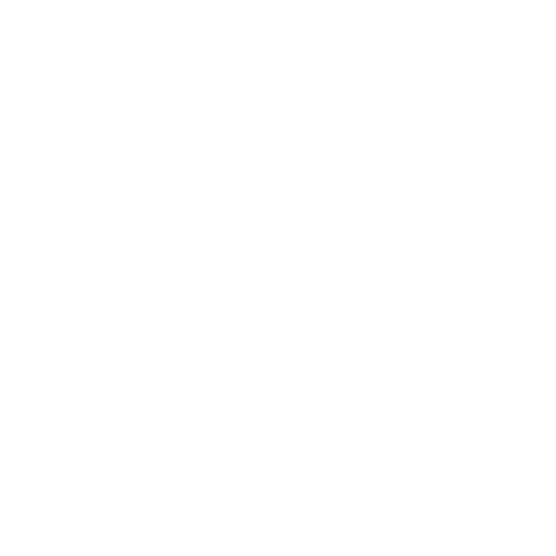 Noemi Robles Fine Art