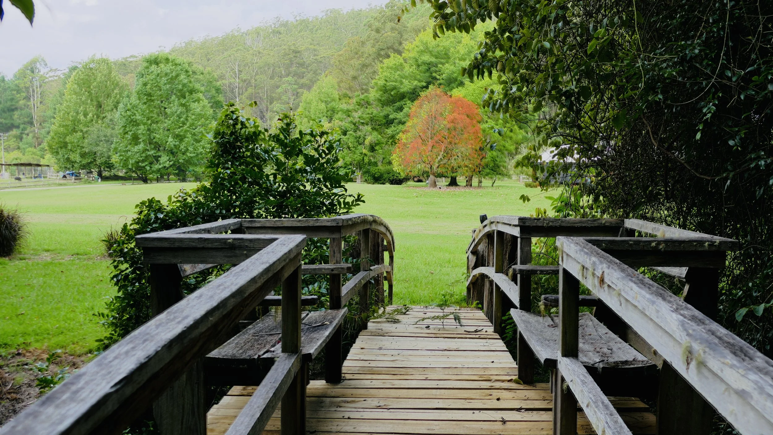 View of a small wooden bridge leading into a grassy park with trees, including one with orange foliage, in the distance. Dense foliage on the right, open green field and hills in the background.