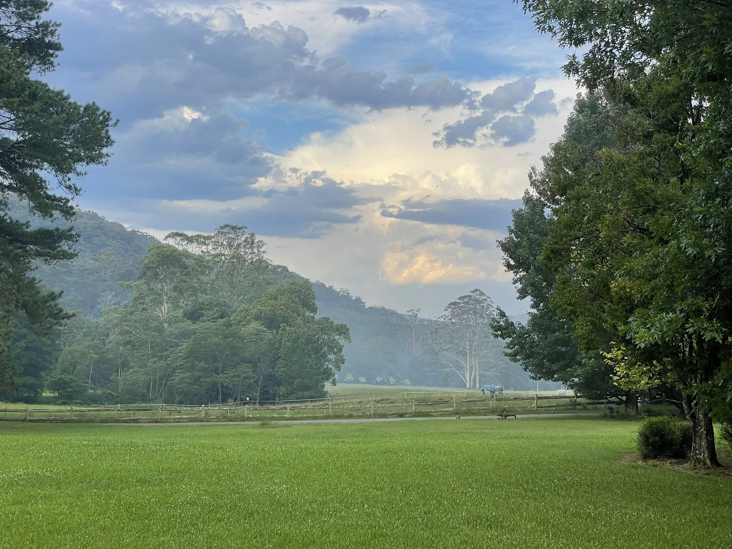 A landscape of a park with green grass, trees on either side, distant hills, and a blue sky with clouds.