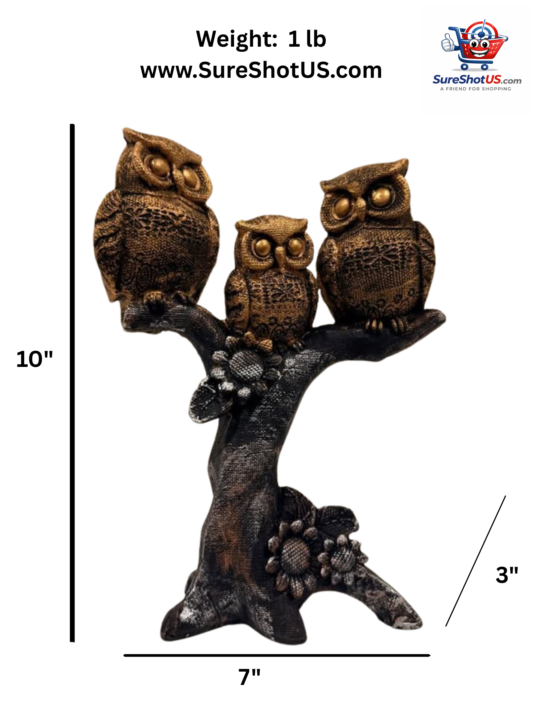 13.5 (1).png