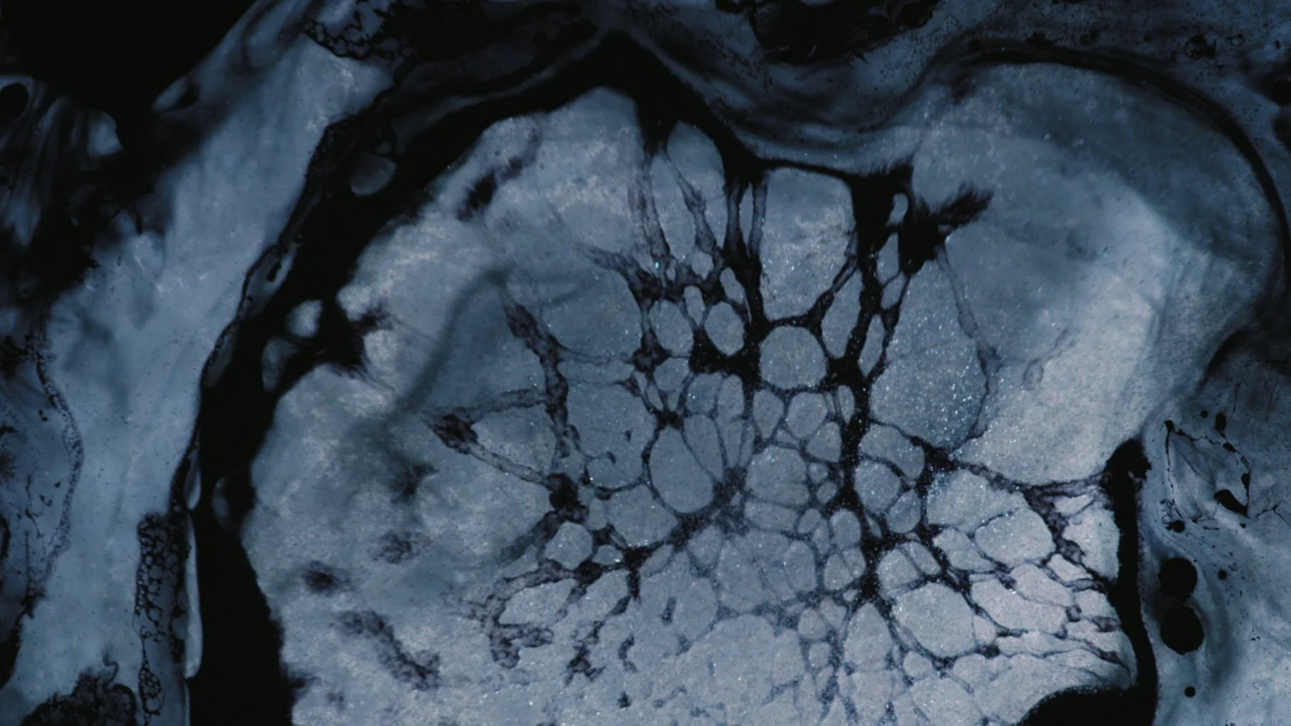 Cercle x JG - YOUARENOTALONE Stills 9.jpg