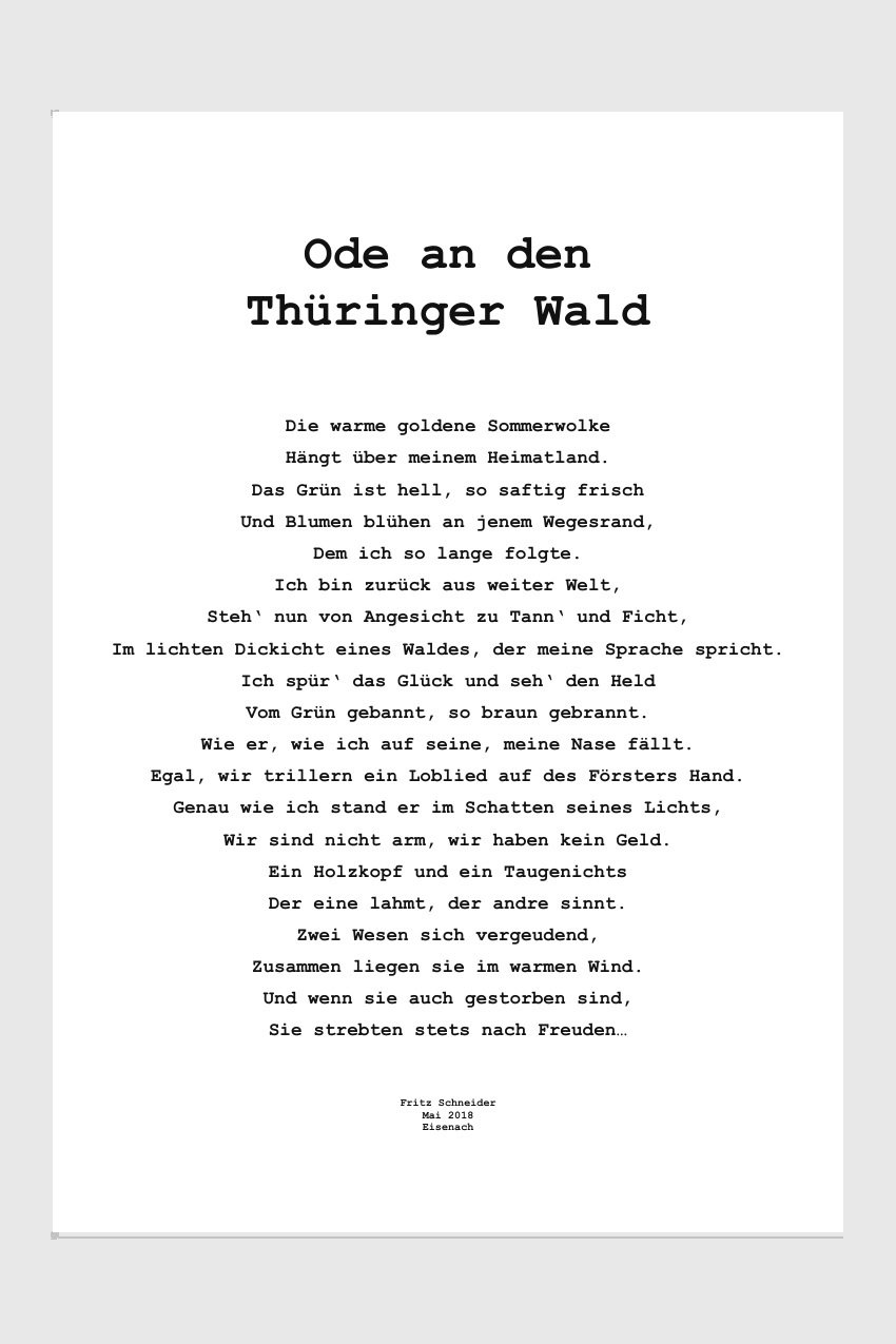 Ode an den Thüringer Wald