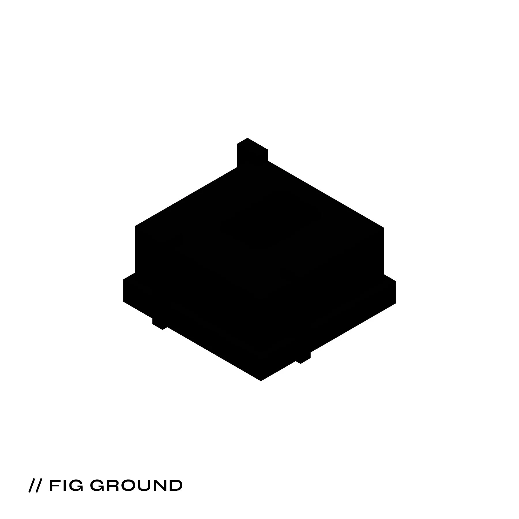 FIG GROUND.jpg