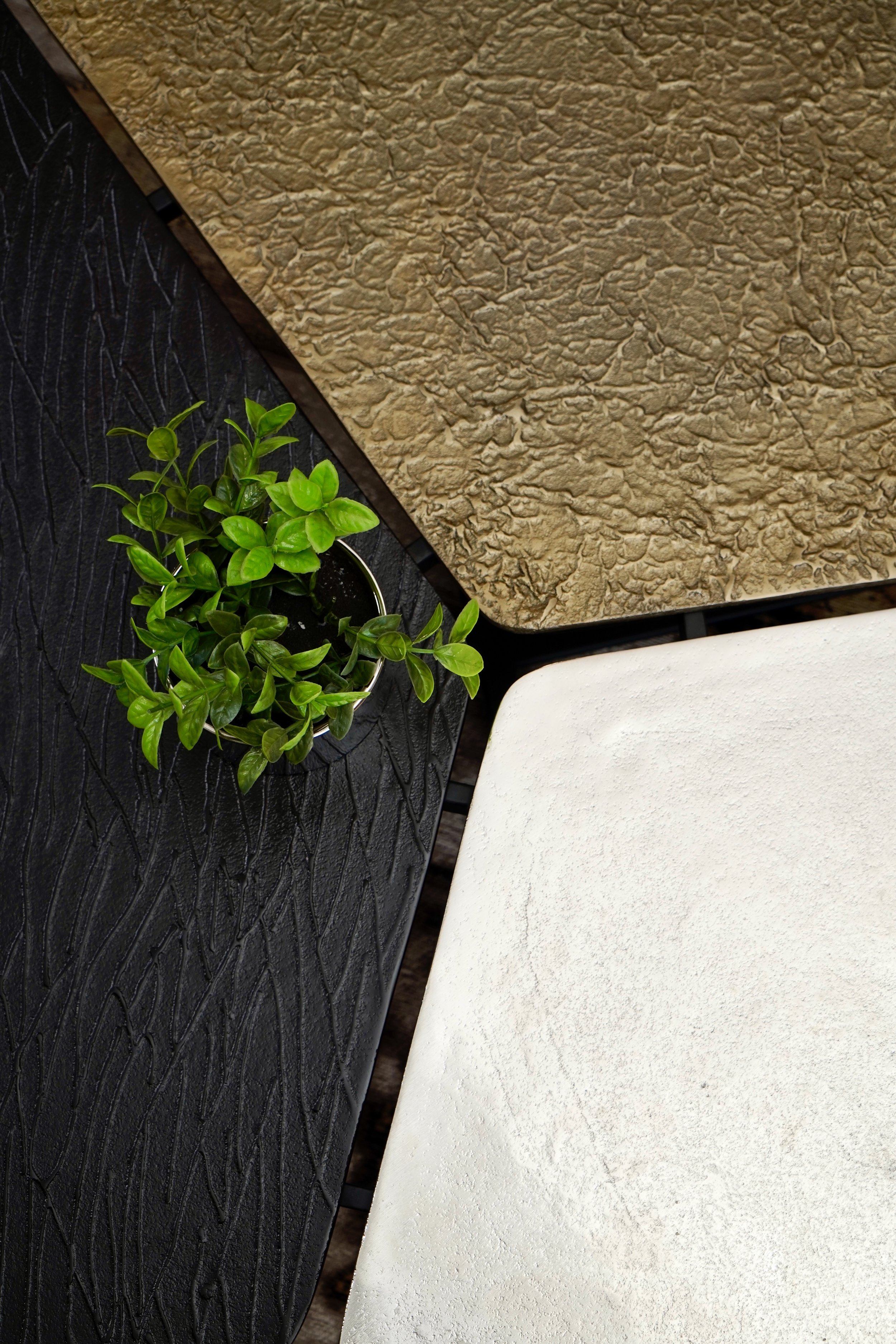 A small potted green plant on a black textured surface, with a beige textured surface and a white textured surface nearby.
