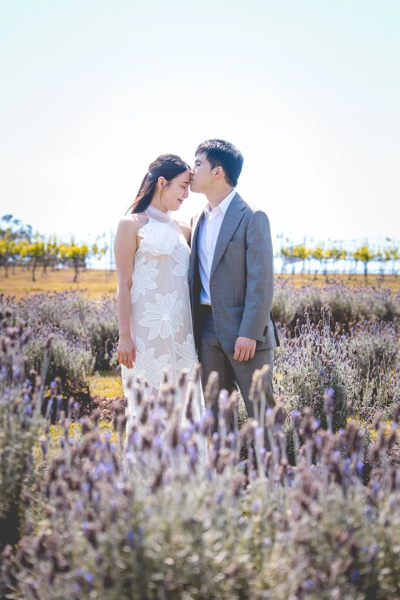 A couple standing in a lavender field, with the man kissing the woman's forehead while she smiles with closed eyes.