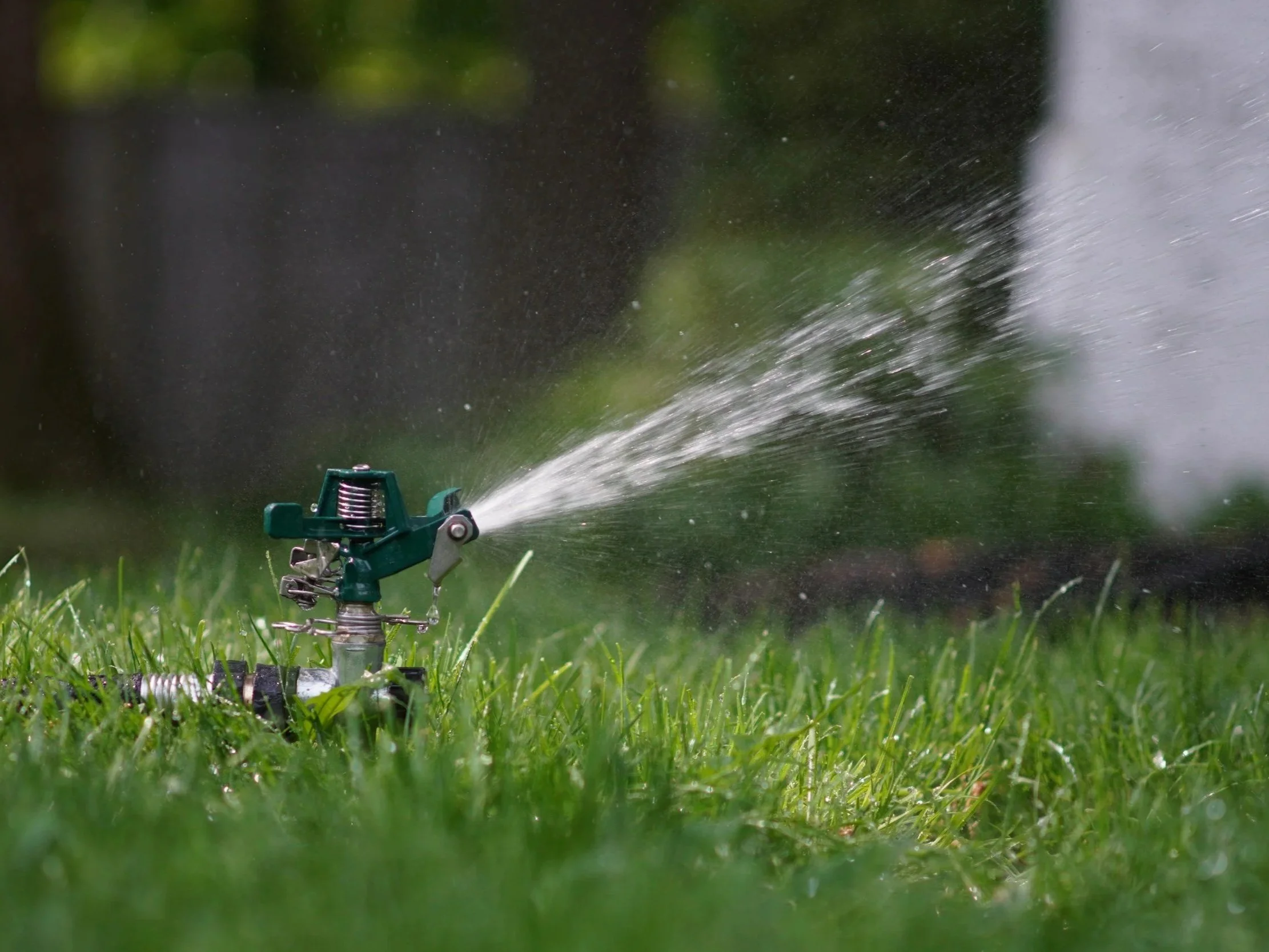 A green garden sprinkler spraying water onto grass.