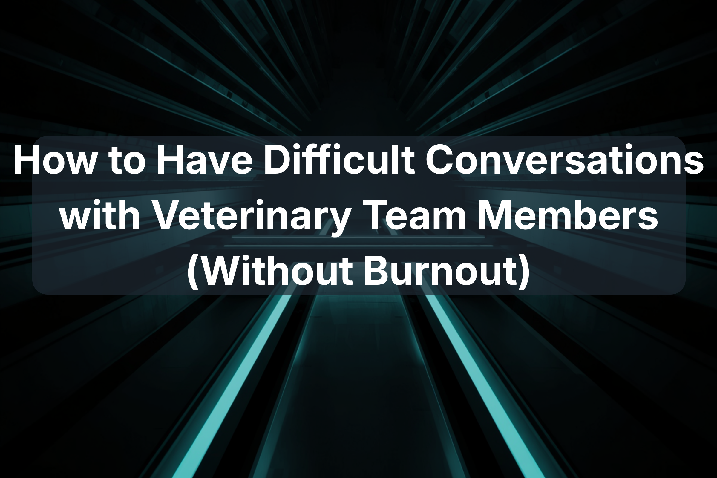 How to Have Difficult Conversations with Veterinary Team Members (Without Burnout)