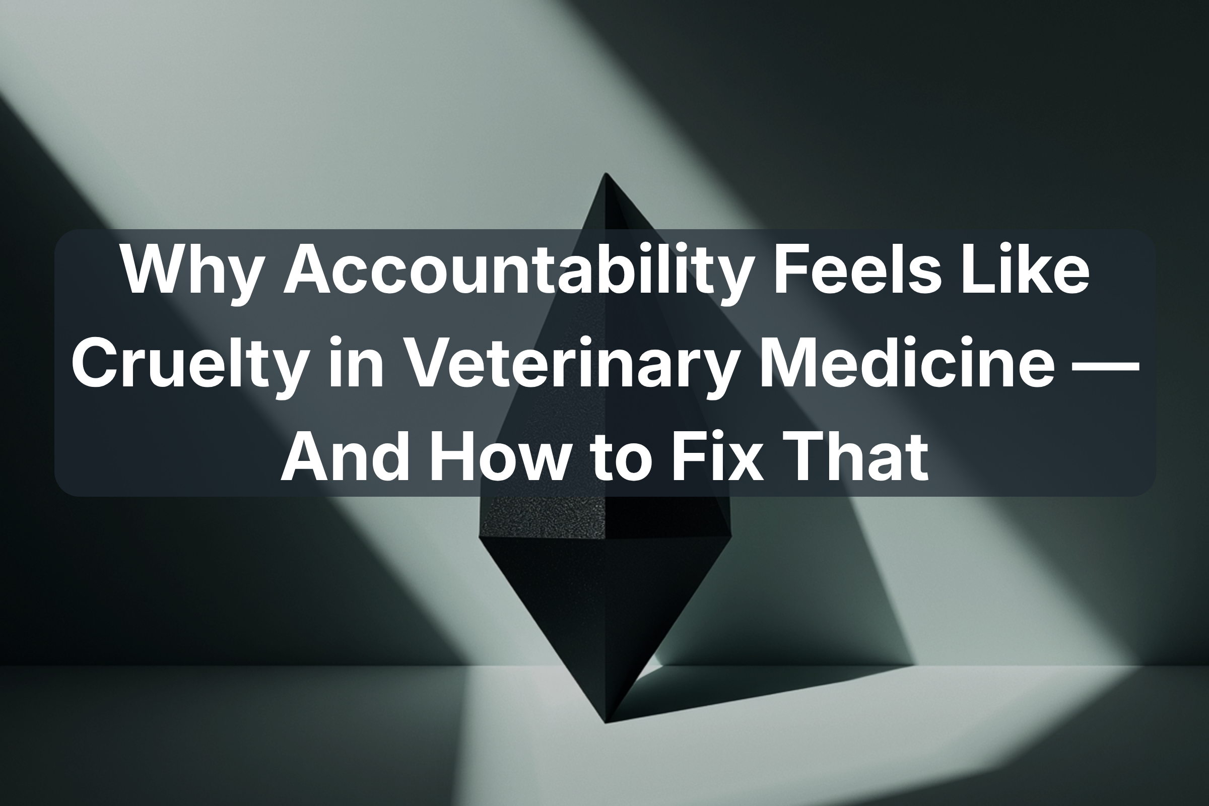 Why Accountability Feels Like Cruelty in Veterinary Medicine — And How to Fix That