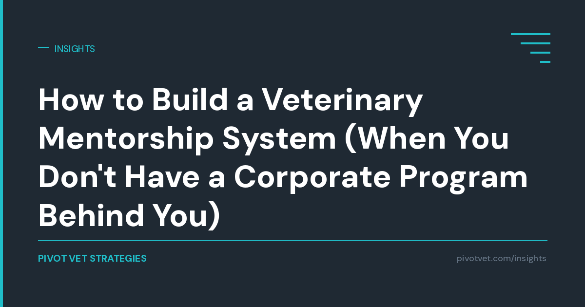 How to Build a Veterinary Mentorship System (When You Don't Have a Corporate Program Behind You)