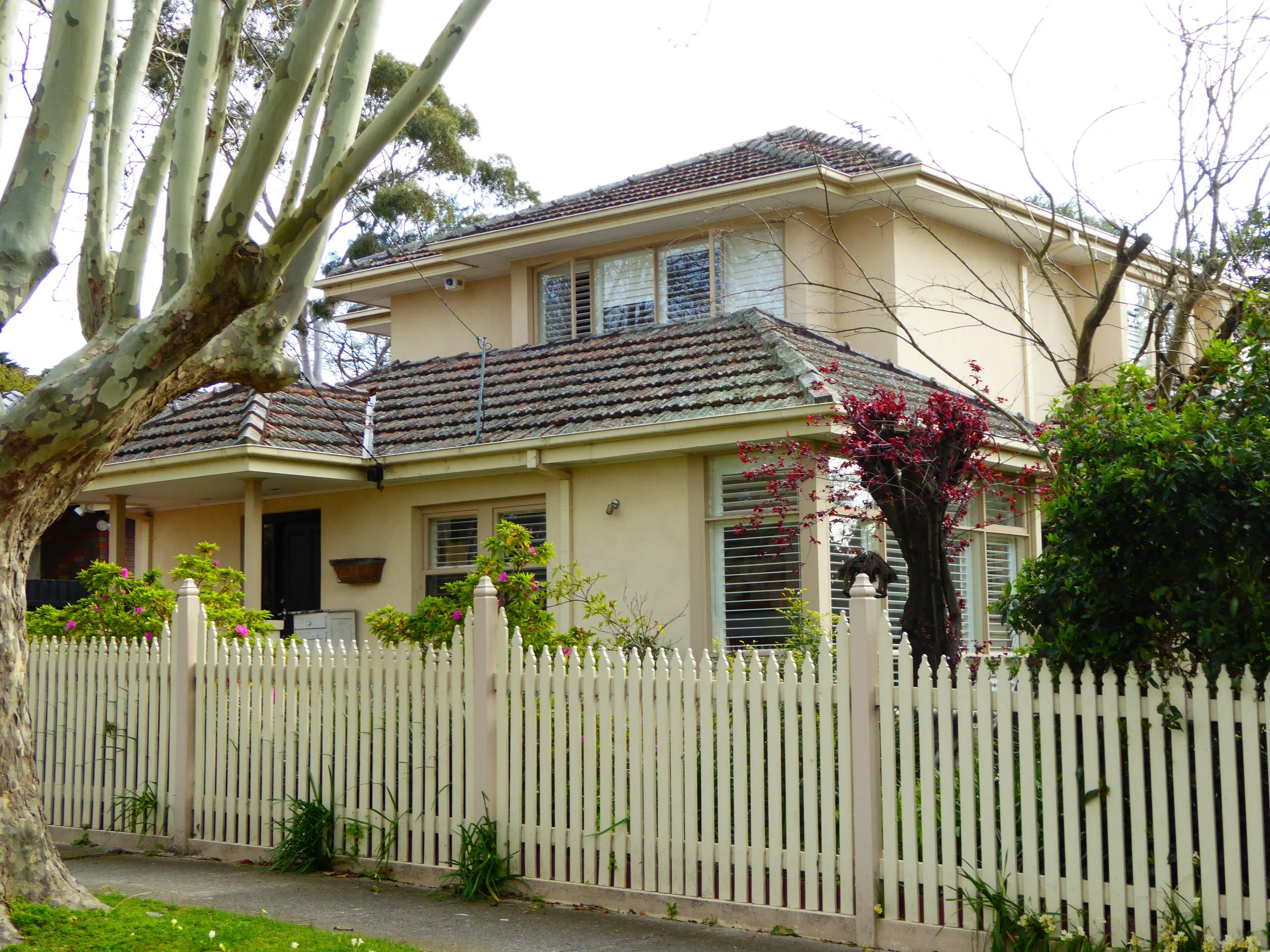 House6.jpg