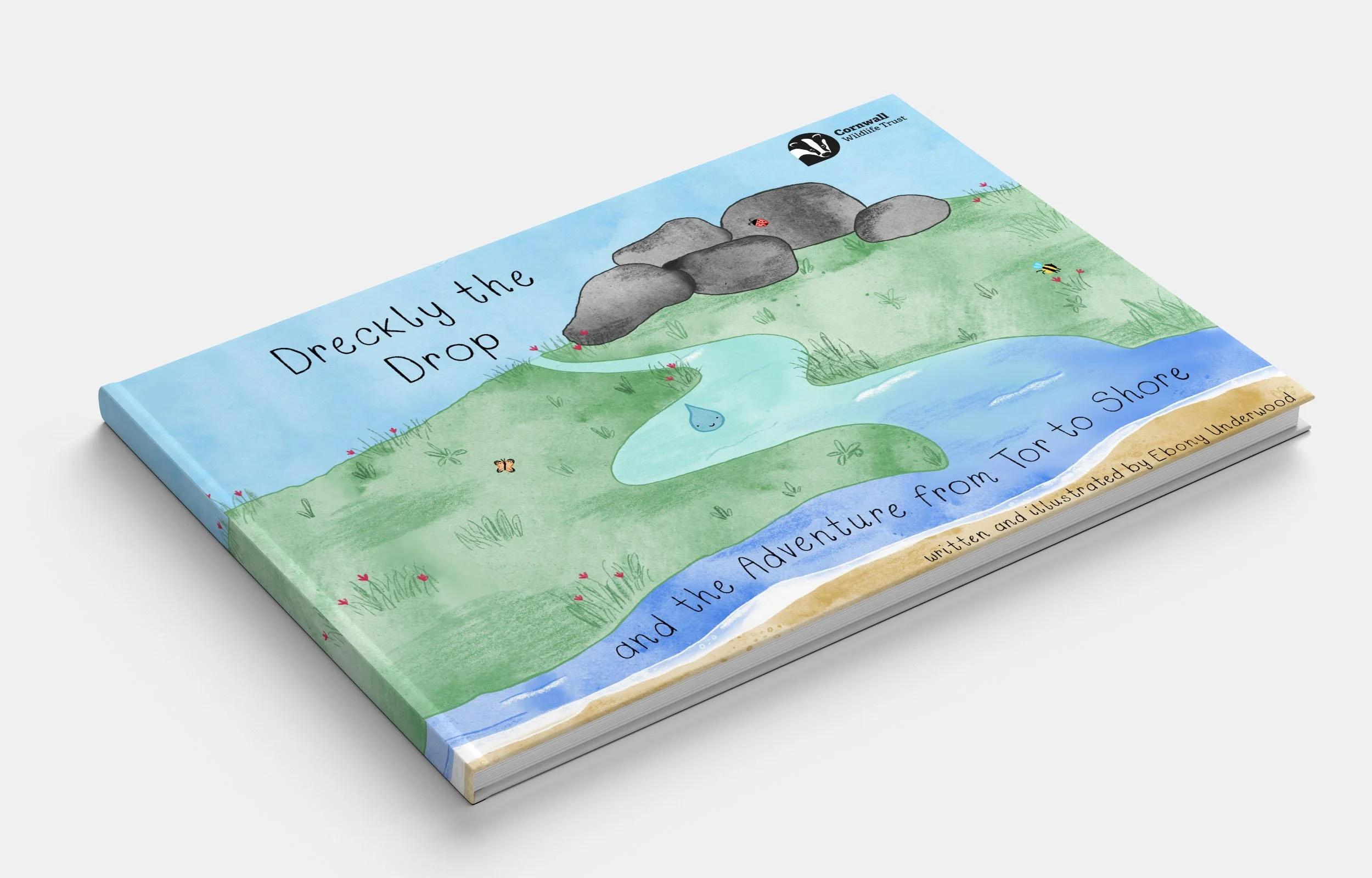 Dreckly the Drop Children's Book 