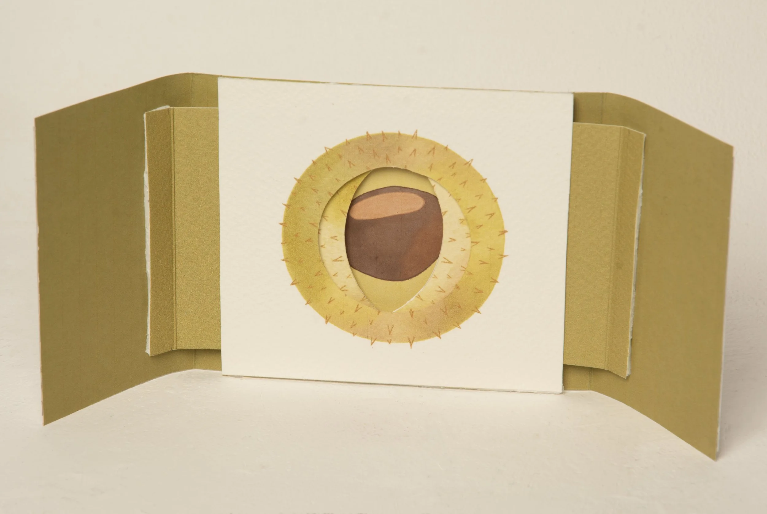 Conker Card Open.jpg