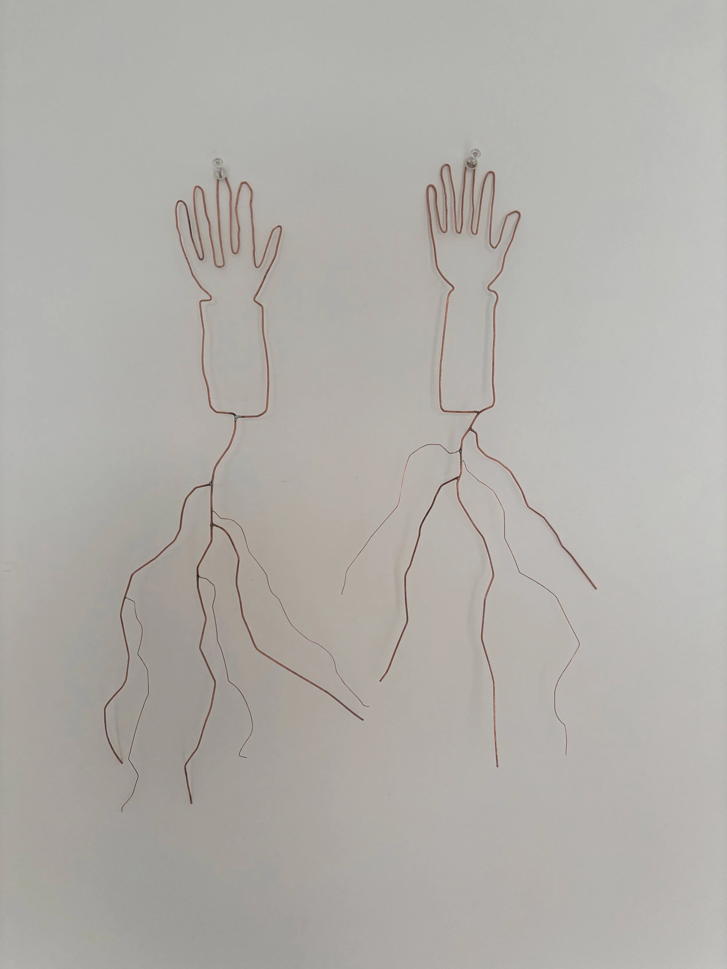 line drawings 