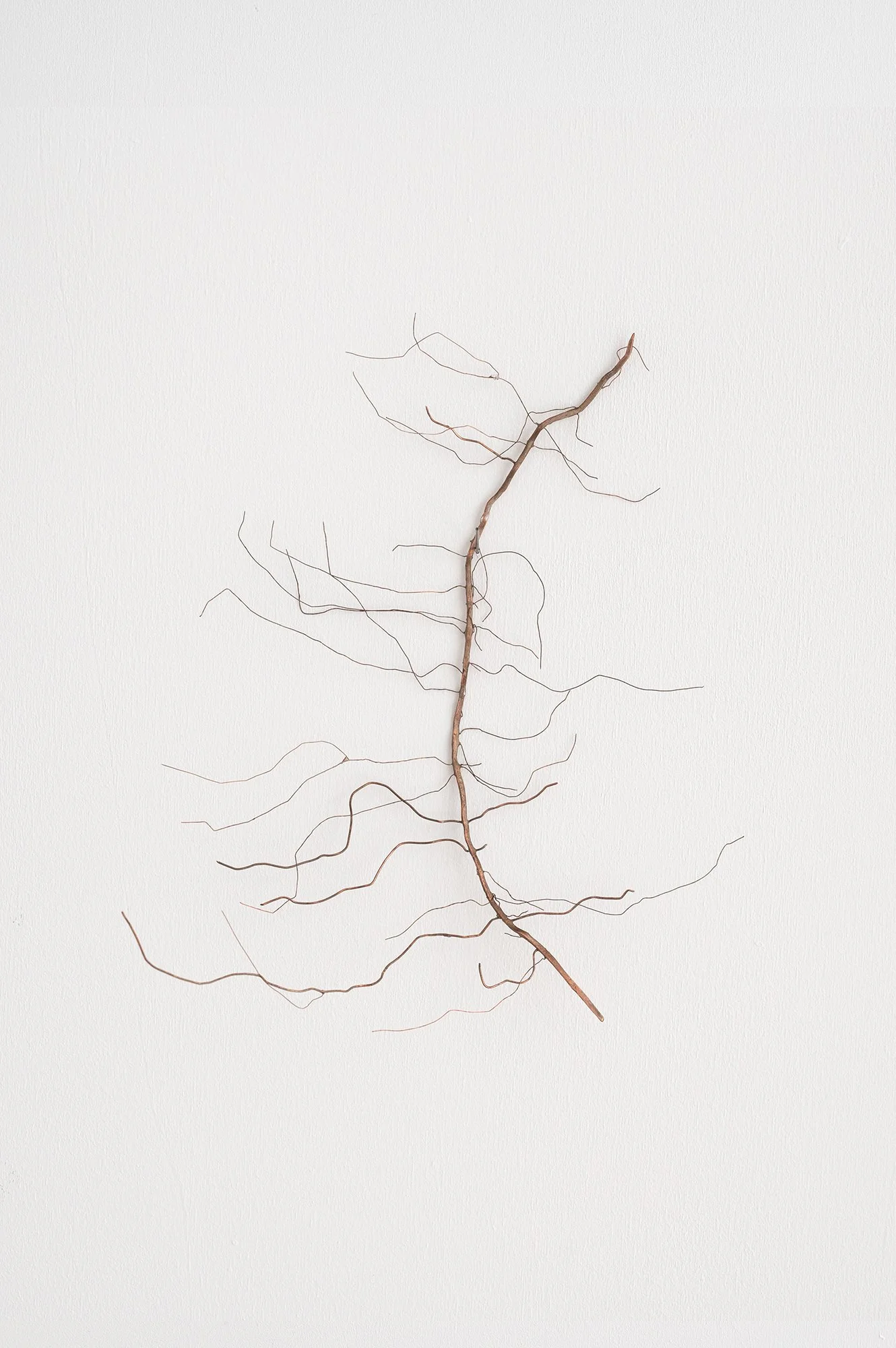 Rizoma 2026 - 26 x 14 cm Soldered copper & patina, suspended on wall