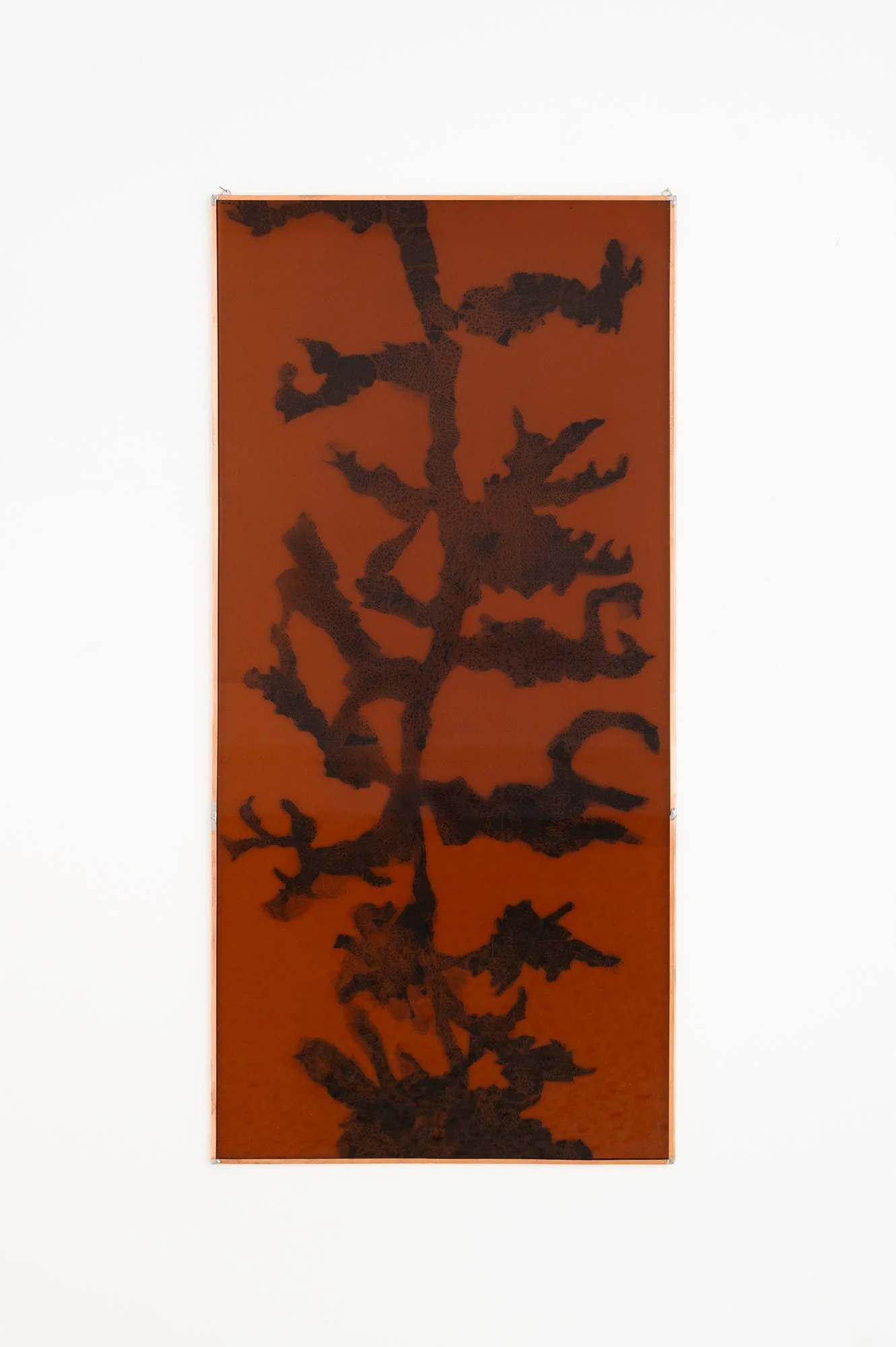 Understory 2026 - 75.5 x 38.5 cm Carbon paper, ink, acrylic paint on glass, artist made copper frame