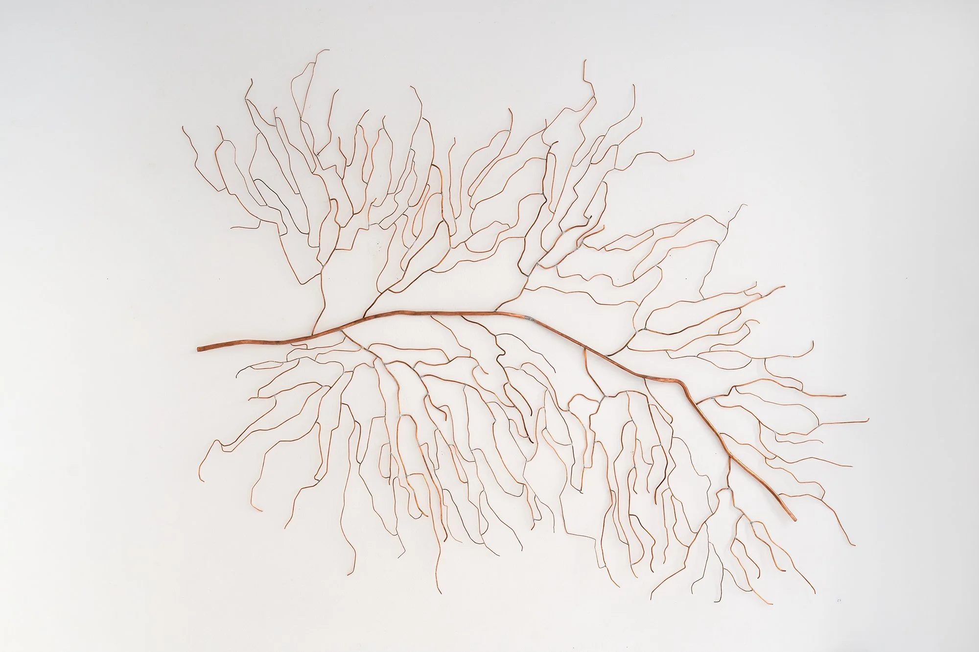 Carte végétale 2025 - 140 X 110 cm Soldered copper & patina, suspended on wall