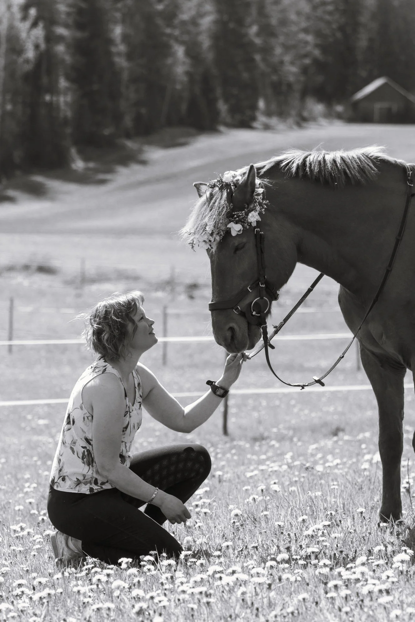 Nainen polvistuu niityllä ja koskettaa hevosta, jolla on kukkainen pääkidea.