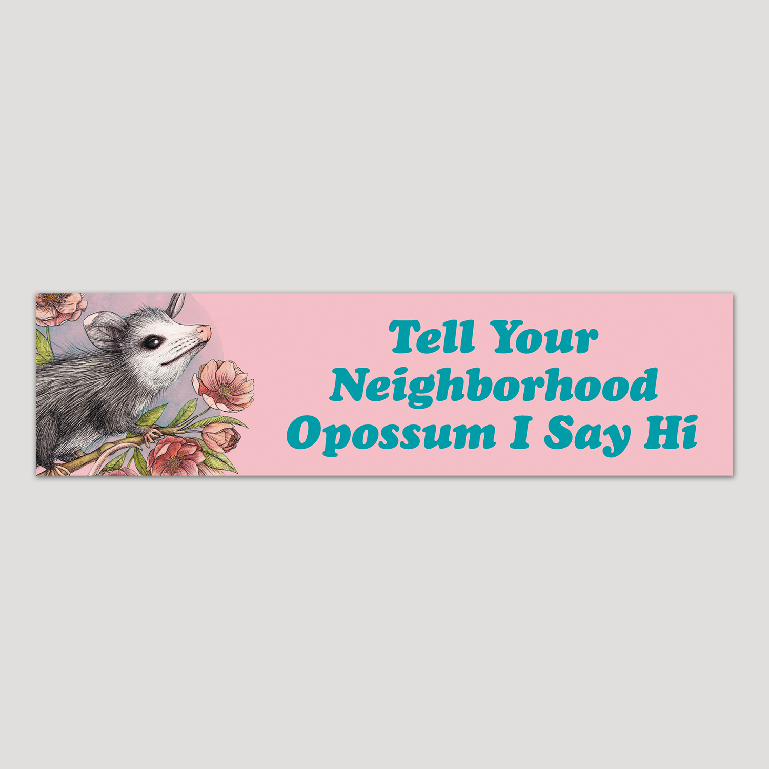 "Tell Your Neighborhood Opossum I Say Hi" Bumper Sticker