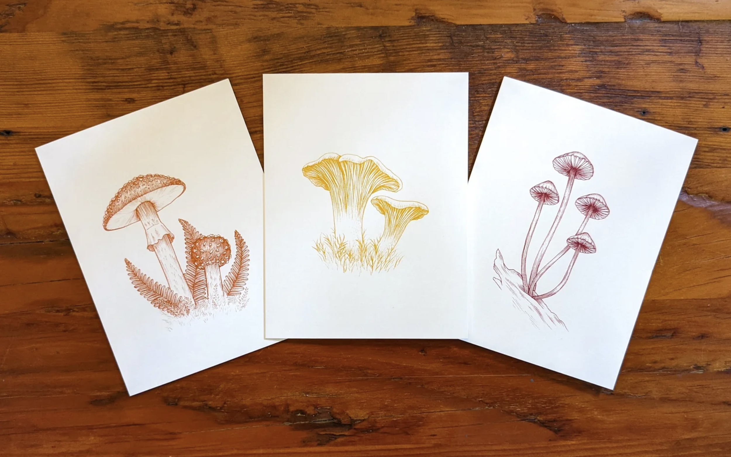 Pack of 3 Mushroom Greeting Cards