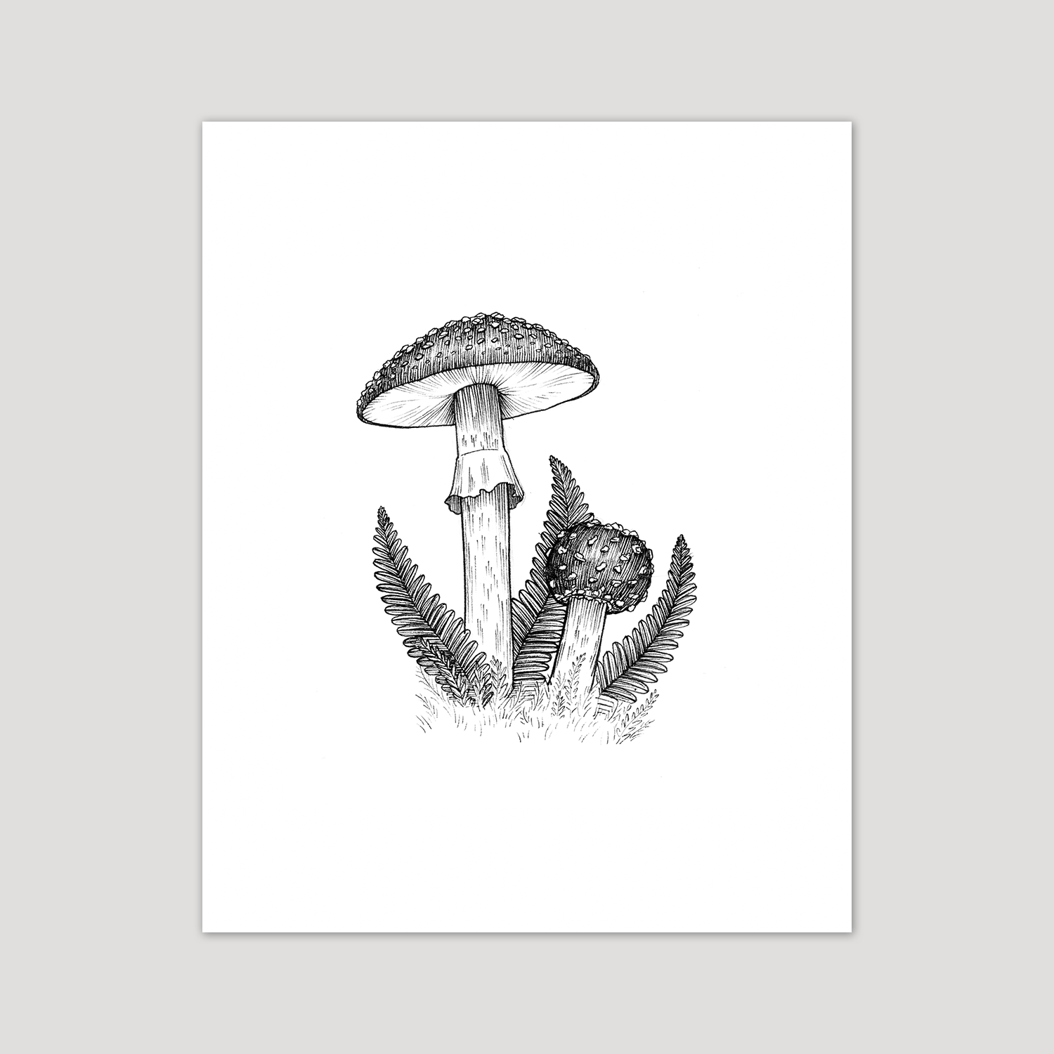 woodland-amanita-muscaria-mushrooms.png