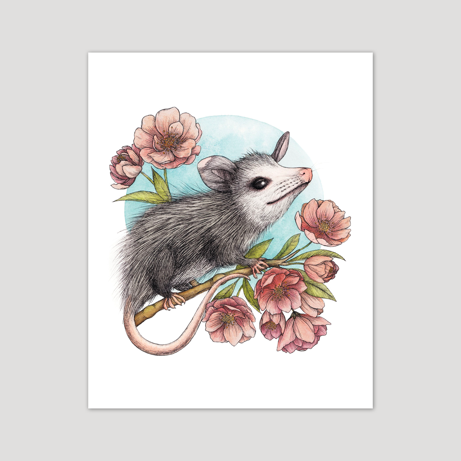 Baby Opossum & Blossoms Art Print
