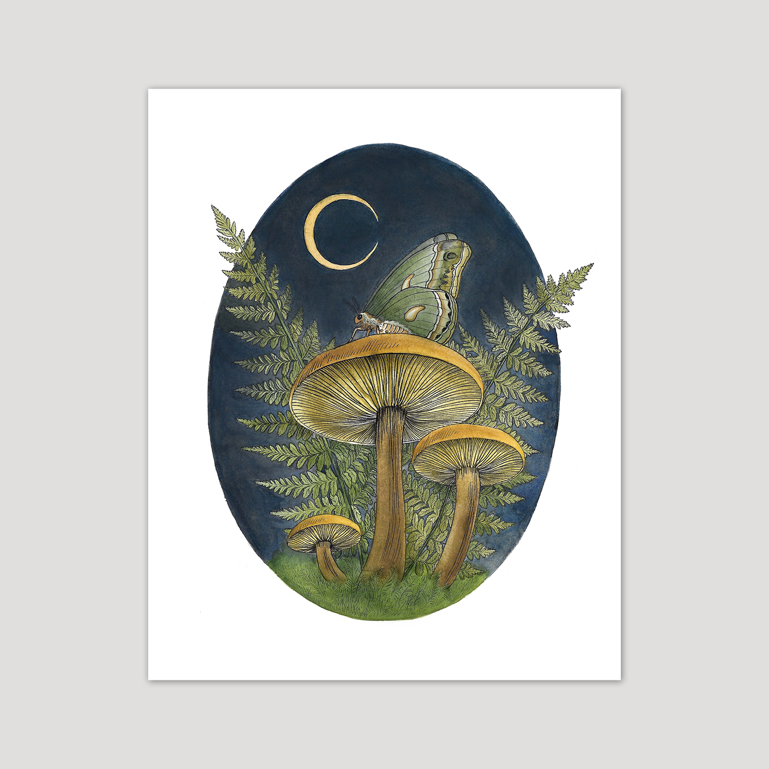 mushroom_moth.png