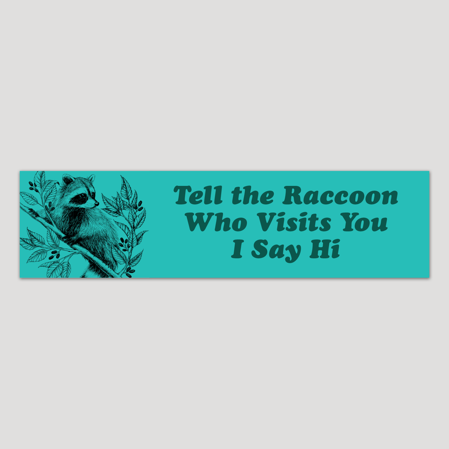 raccoon-funny-vintage-botanical-bumper-sticker.png