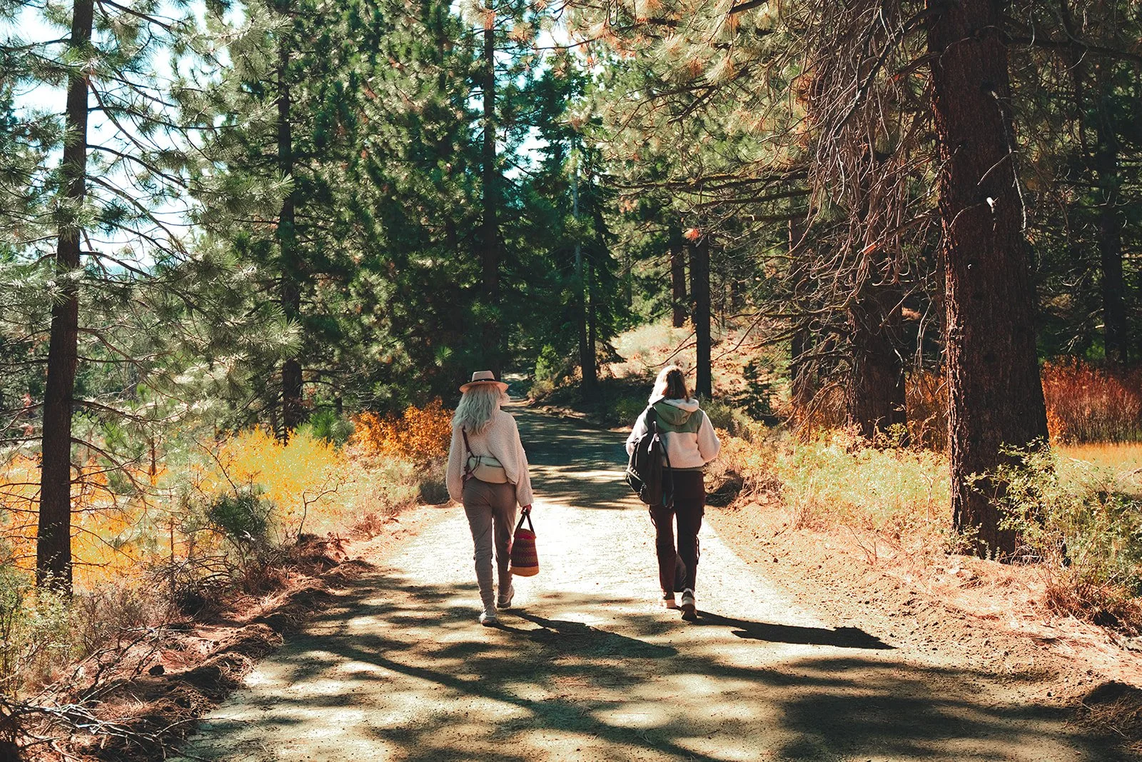 Two women walking on a dirt trail surrounded by tall pine trees in a forest during daytime.