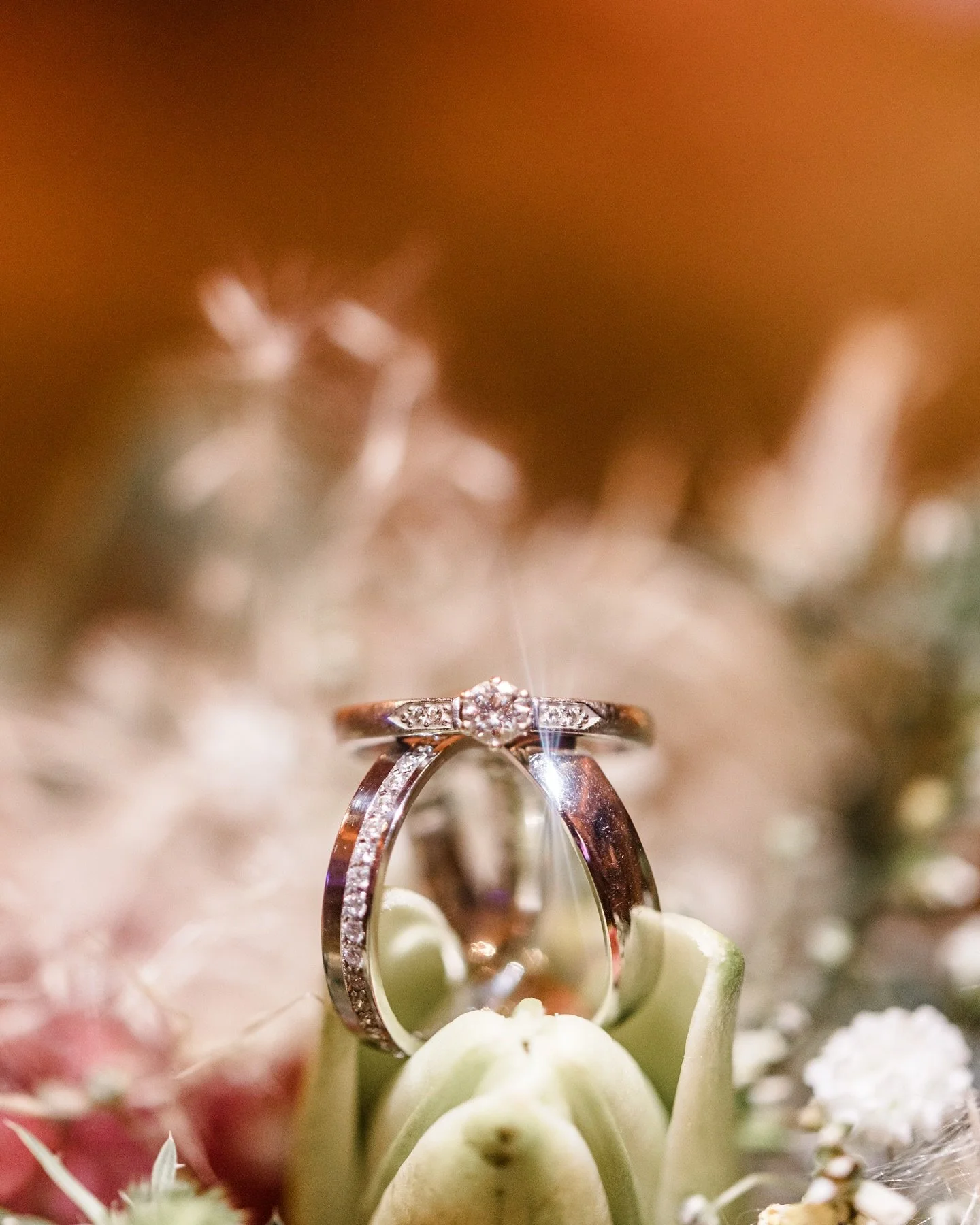 Darum k&ouml;nnen wir nicht die Finger von der Hochzeitsfotografie lassen.

Wir lernen so wunderbare Menschen kennen &ndash; und einige bleiben.
So wie diese beiden, mit denen wir immer noch in Kontakt stehen. Das ist so wertvoll.

Danke ❤️