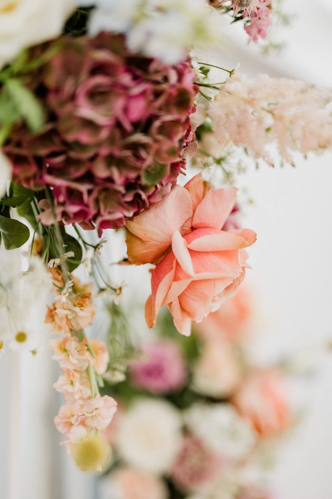 Blumendetails, Floristin, Softe farben