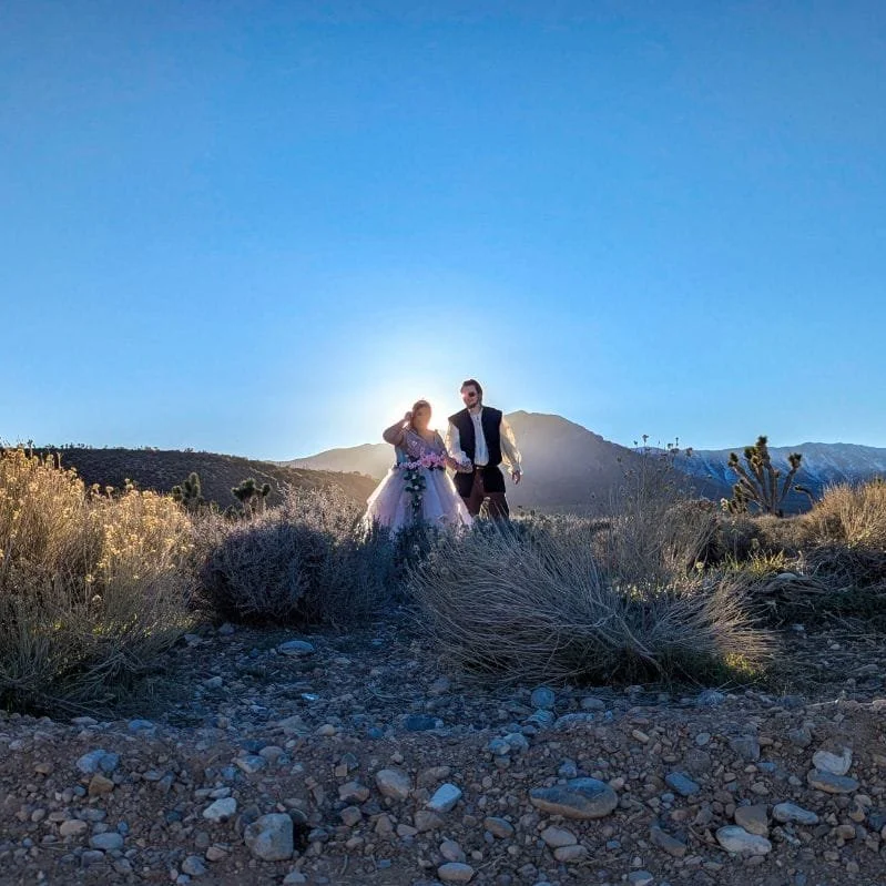 WhatsApp Image 2026-03-03 at 12.48.58 AM.jpeg