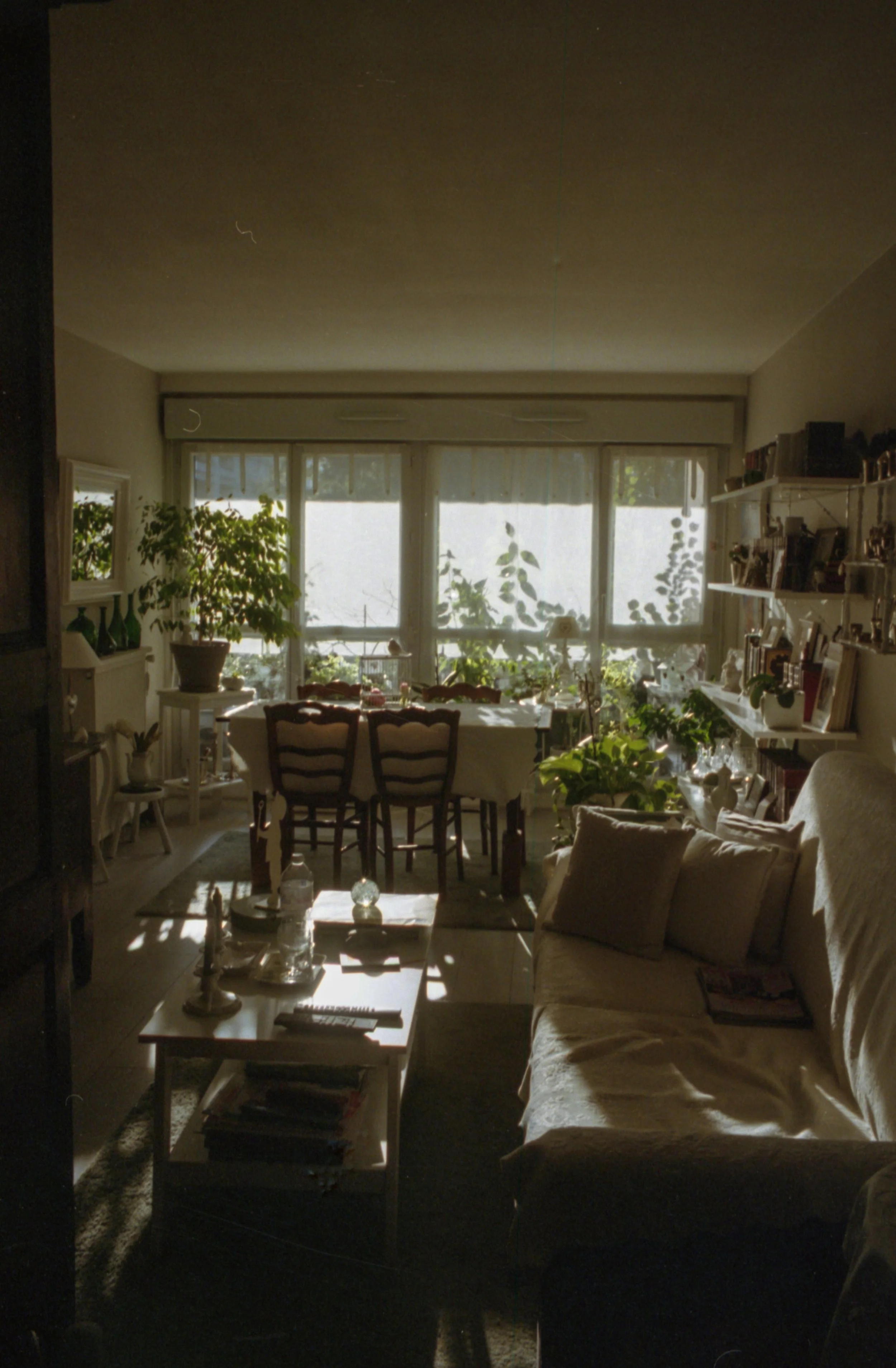 Salon lumineux avec grands fenêtres, plantes, meubles en bois, étagères avec livres et objets de décoration, canapé avec coussins, table basse avec objets, et une table à manger à l'arrière.
