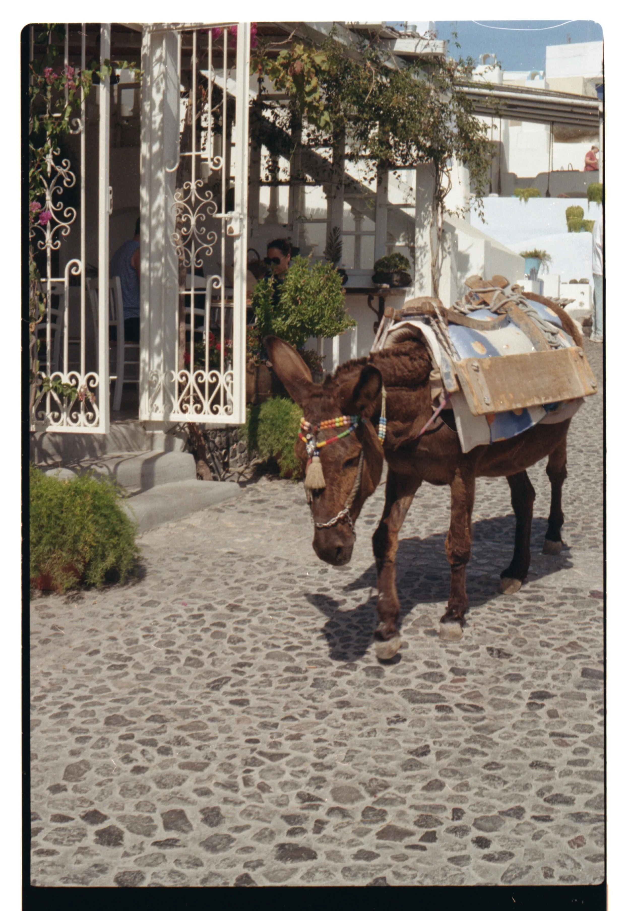 Un âne portant des sacs dans une rue pavée près d'une terrasse de café ou restaurant avec des personnes assises. L'environnement évoque une scène méditerranéenne ou grecque avec des bâtiments blancs et des plantes.