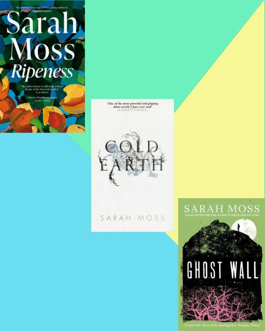 I accidentally went on a mini Sarah Moss-spree in January and I had the best time. Sarah Moss is great. Her writing is superb. And I kinda feel like if her books had bleaker endings some of them could totally pass for horror. 

GHOST WALL in particul