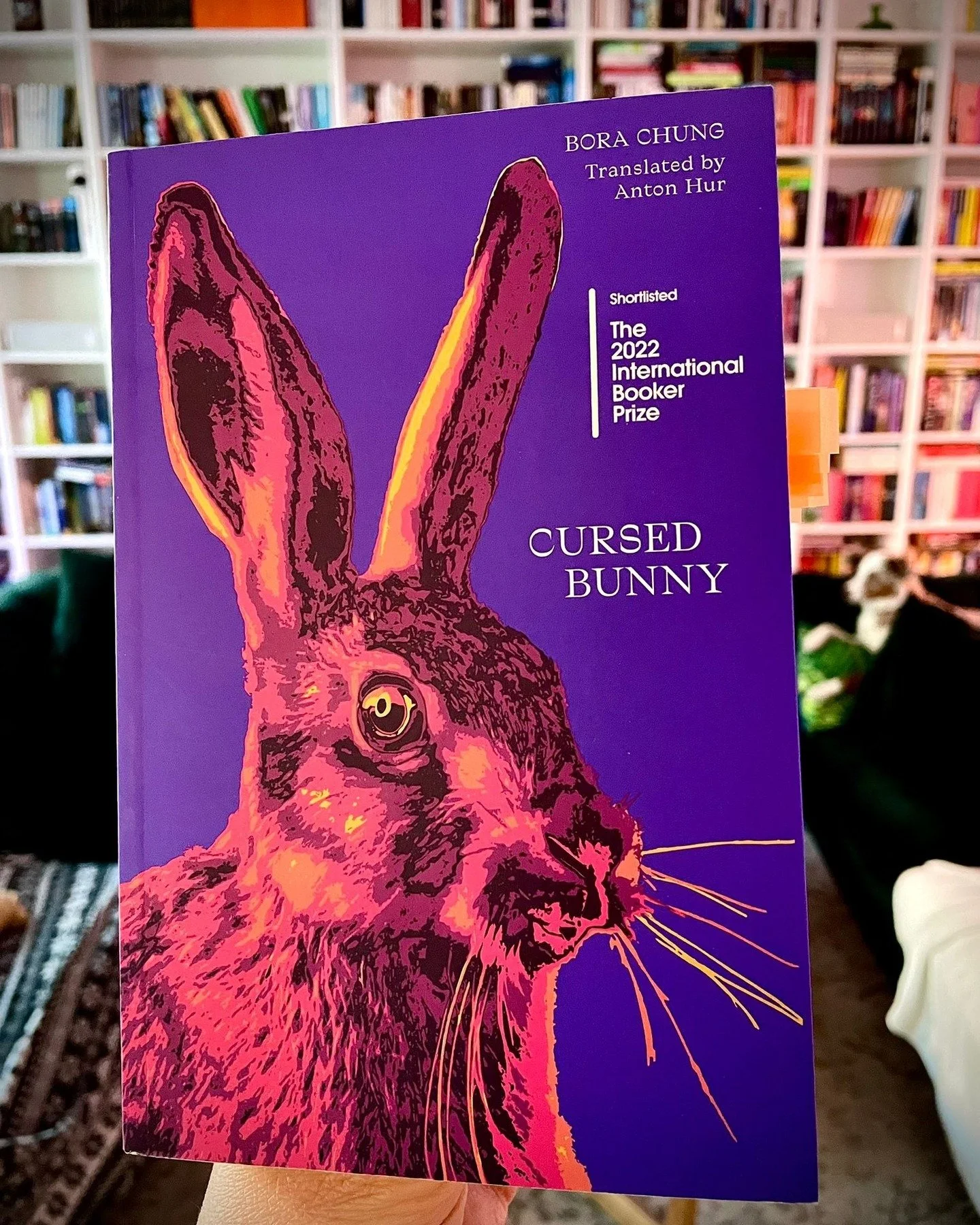 CURSED BUNNY &amp; THE MIDNIGHT TIMETABLE by Bora Chung, translated by Anton Hur

I read two collections by Bora Chung in February. The first one, CURSED BUNNY, is filled to the brim with concepts, ideas, and fairytale/fantasy-ish type stories that d