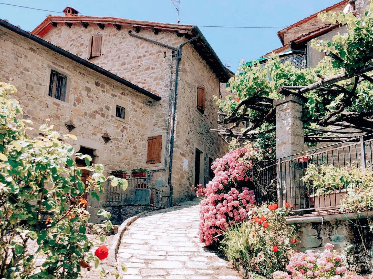 Stone buildings with closed wooden shutters on windows, a narrow cobblestone pathway, colorful flowering plants, and greenery on a sunny day.