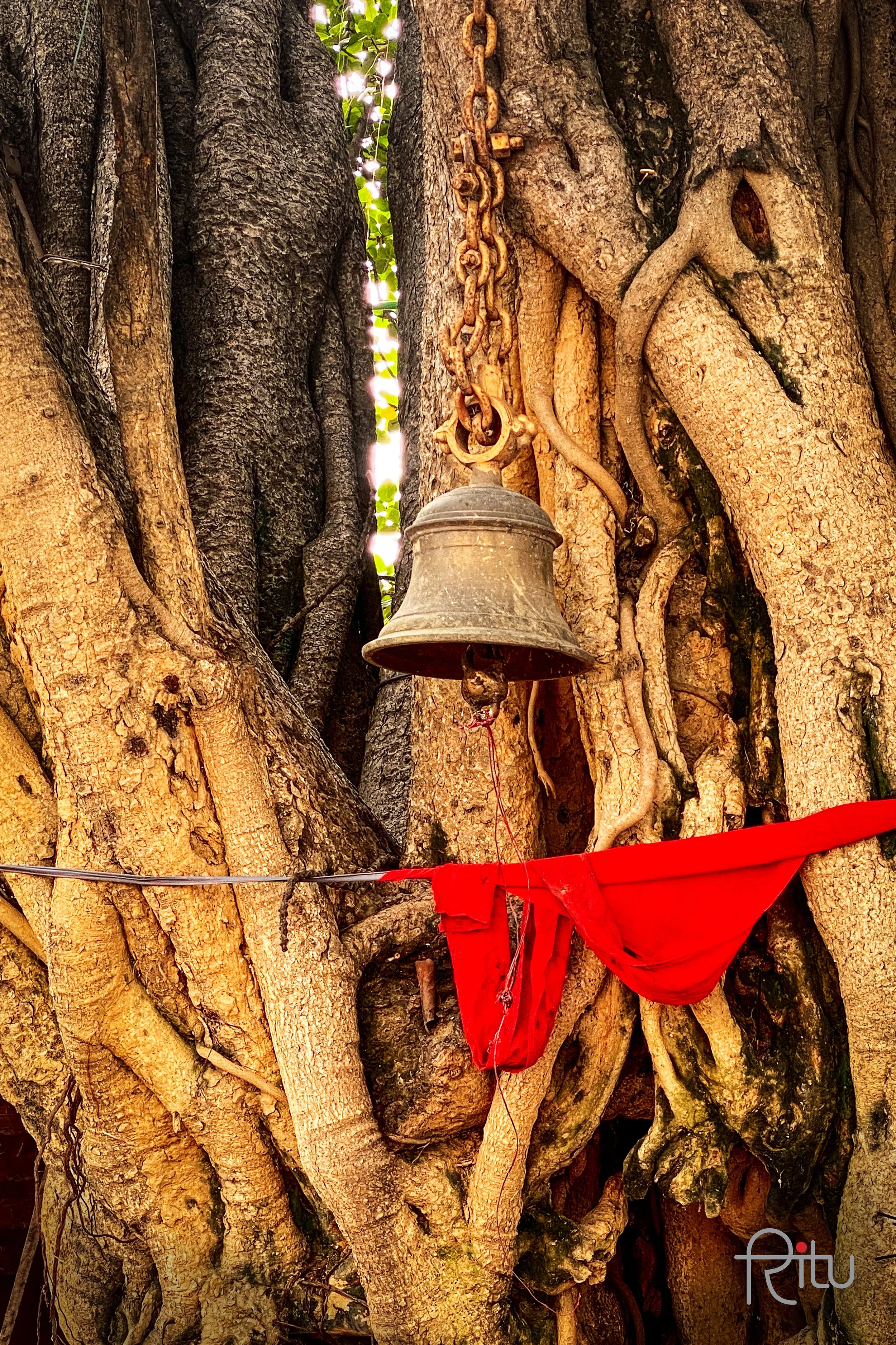 Bells6.jpg