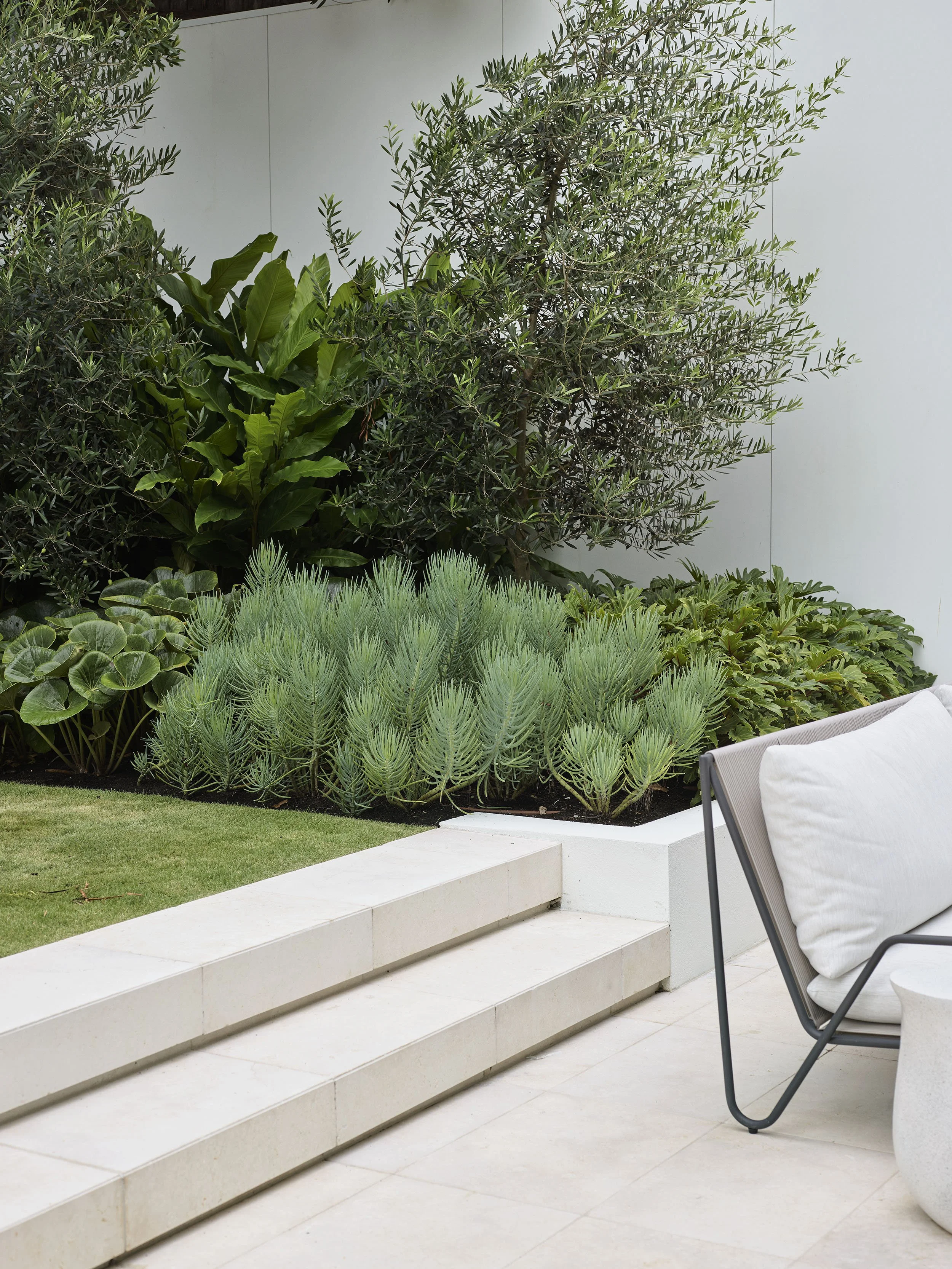 Garden design, landscaping, Boronia Road, Bellevue Hill
