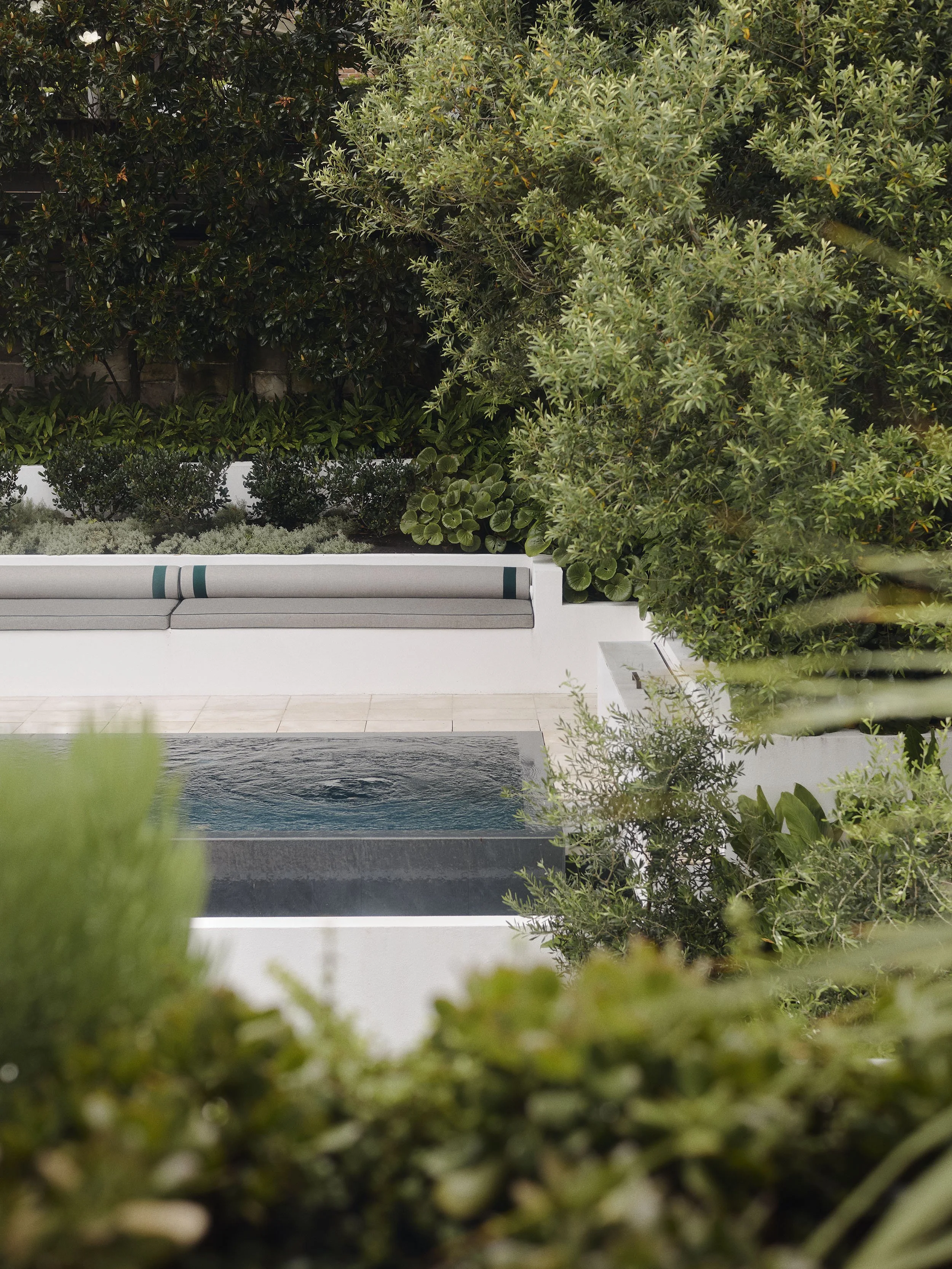 Garden design, landscaping, pool design, Boronia Road, Bellevue Hill