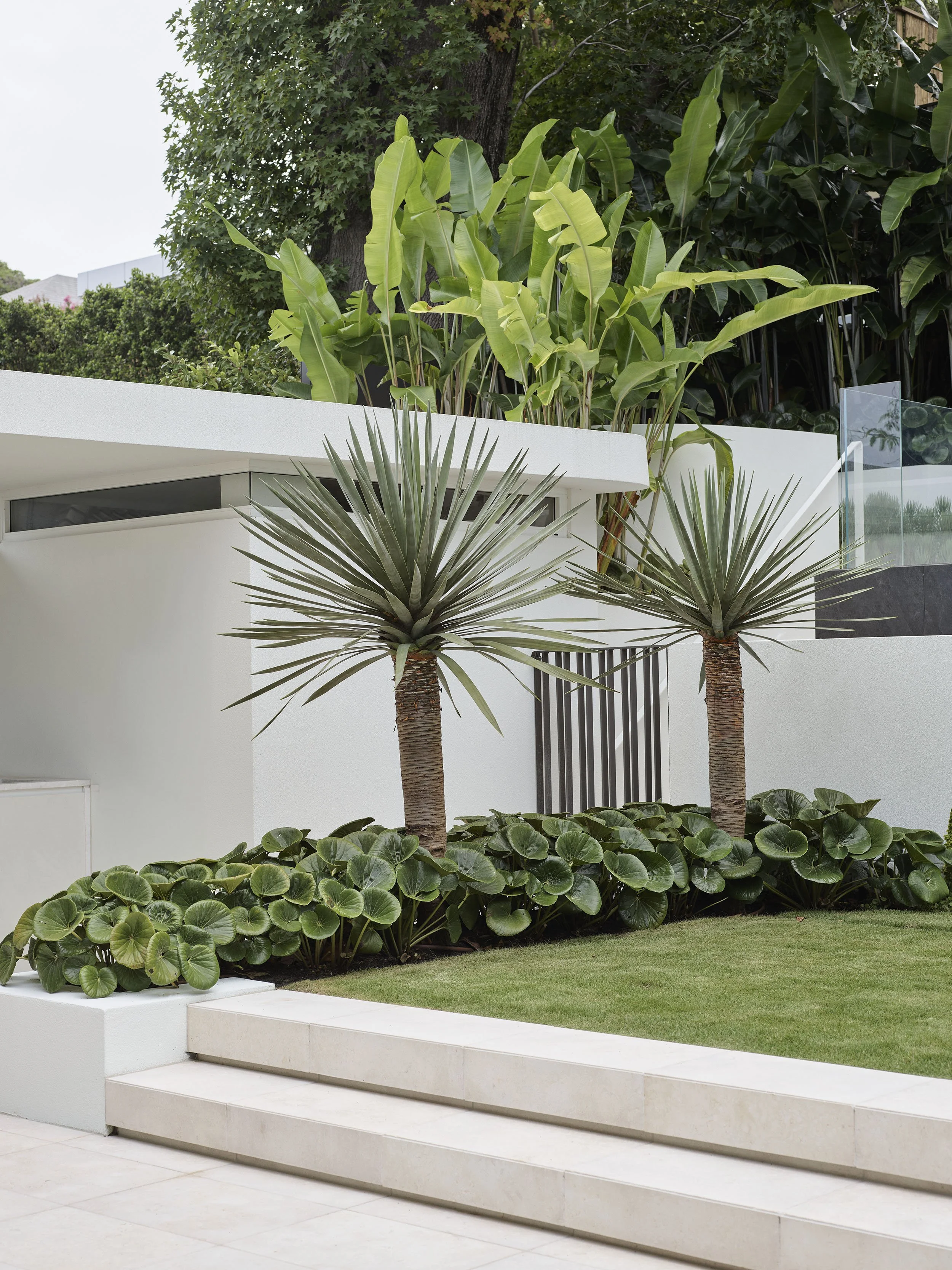 Garden design, landscaping, Boronia Road, Bellevue Hill