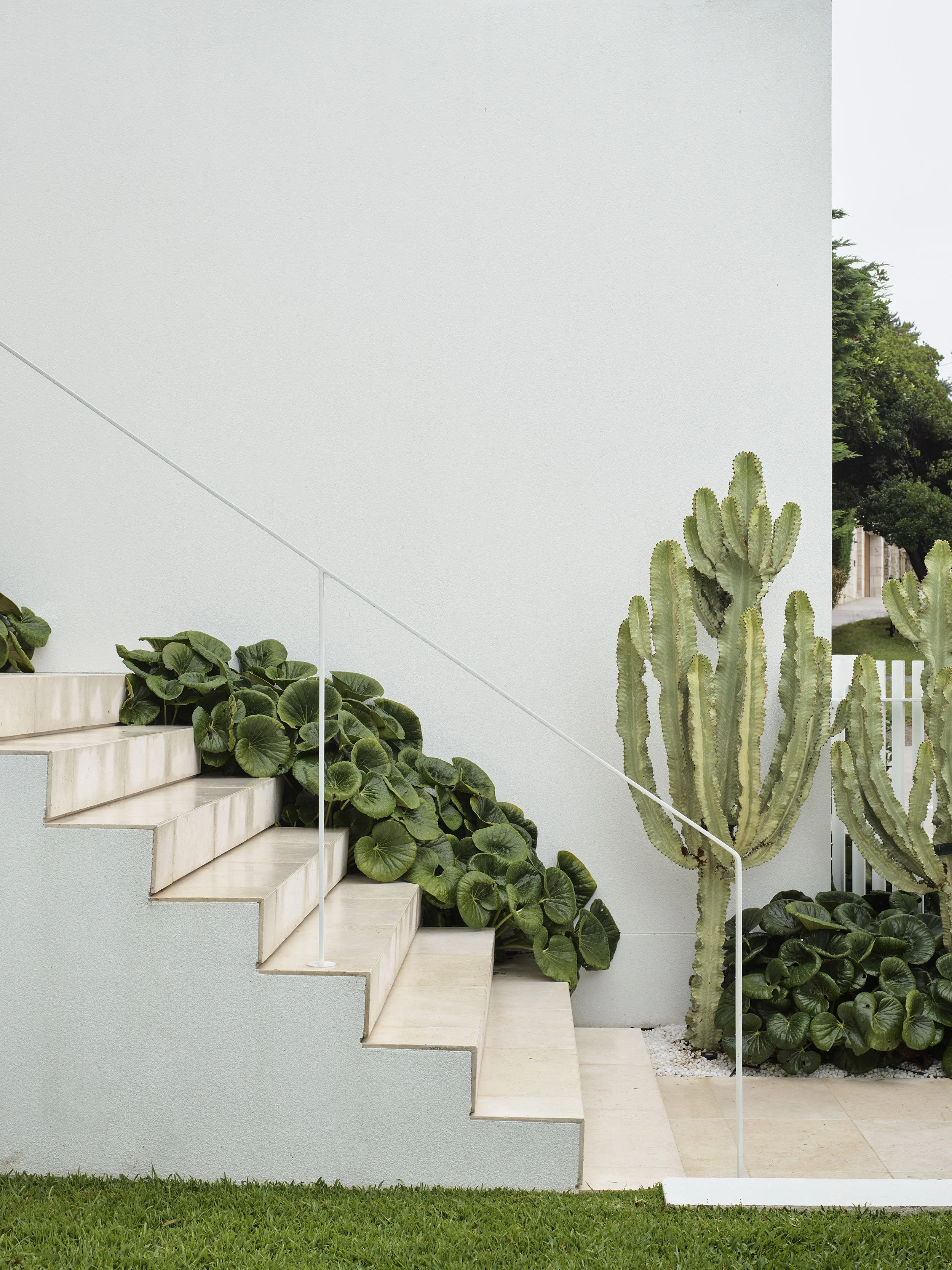 Front entrance with landscaped garden design, Boronia Road, Bellevue Hill