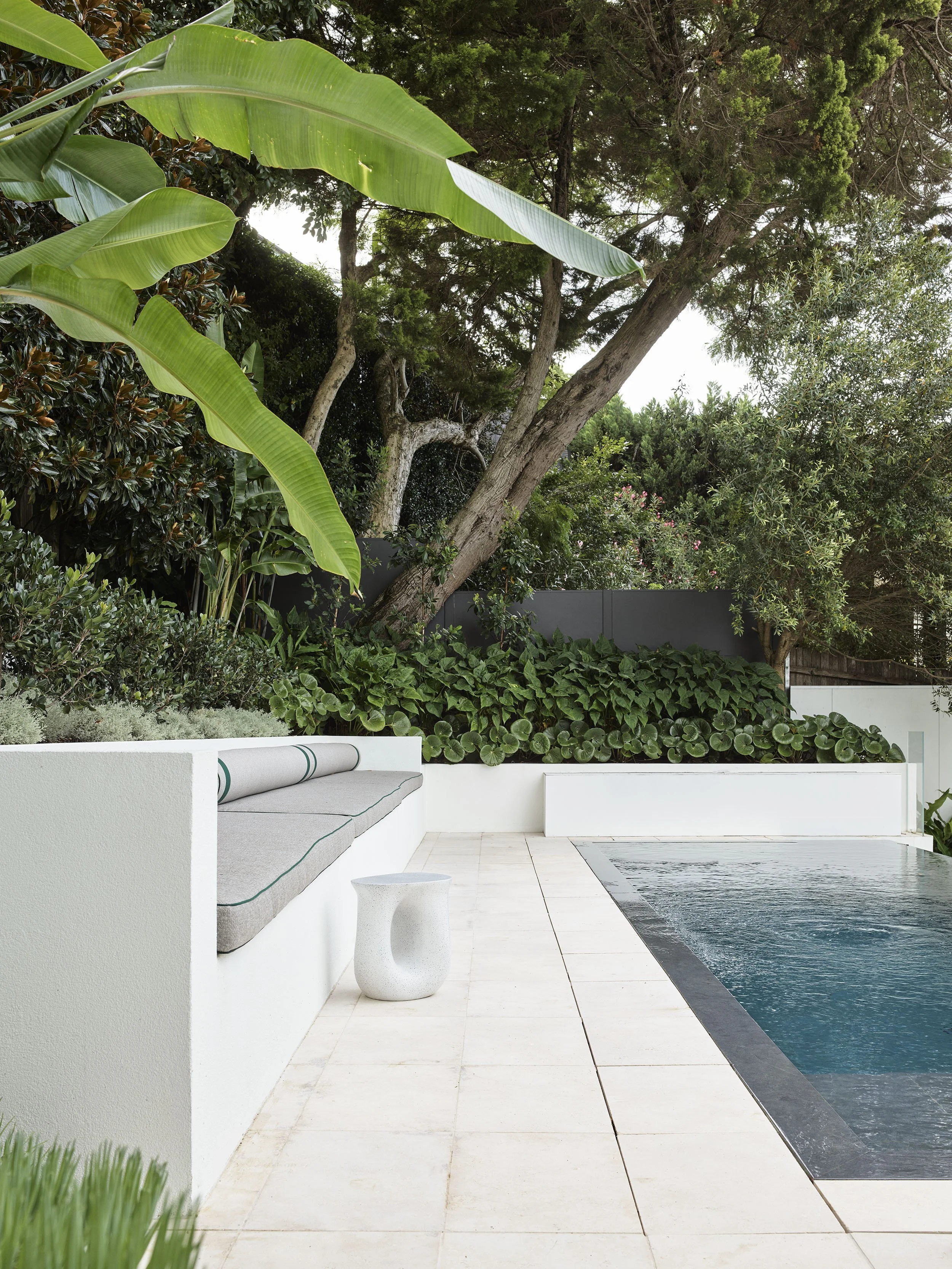 Garden design, landscaping, pool design, Boronia Road, Bellevue Hill