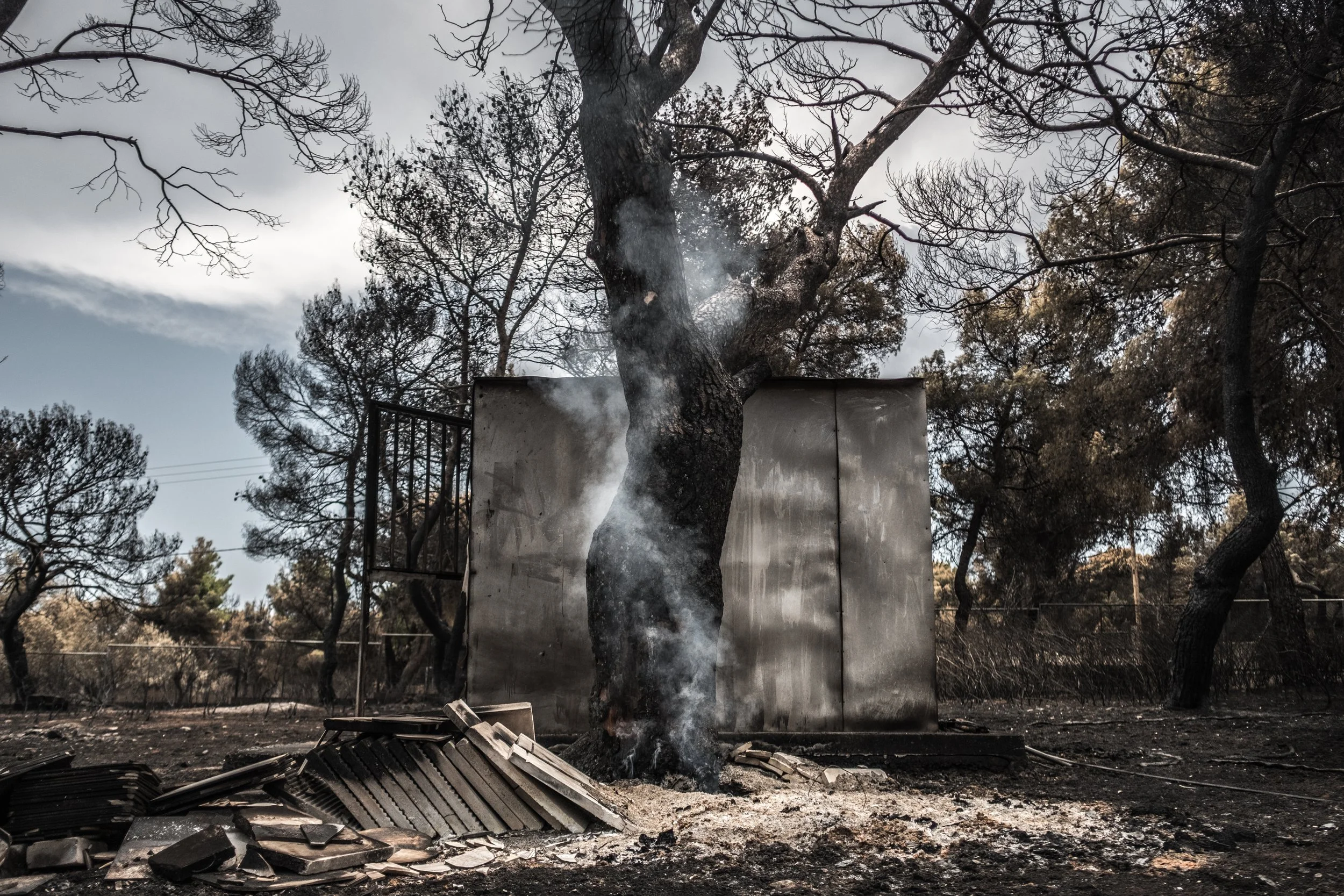 Charred tree burned from a fire in front of a metal structure with smoke rising, surrounded by blackened ground and fallen debris, with leafless trees and a cloudy sky in the background.