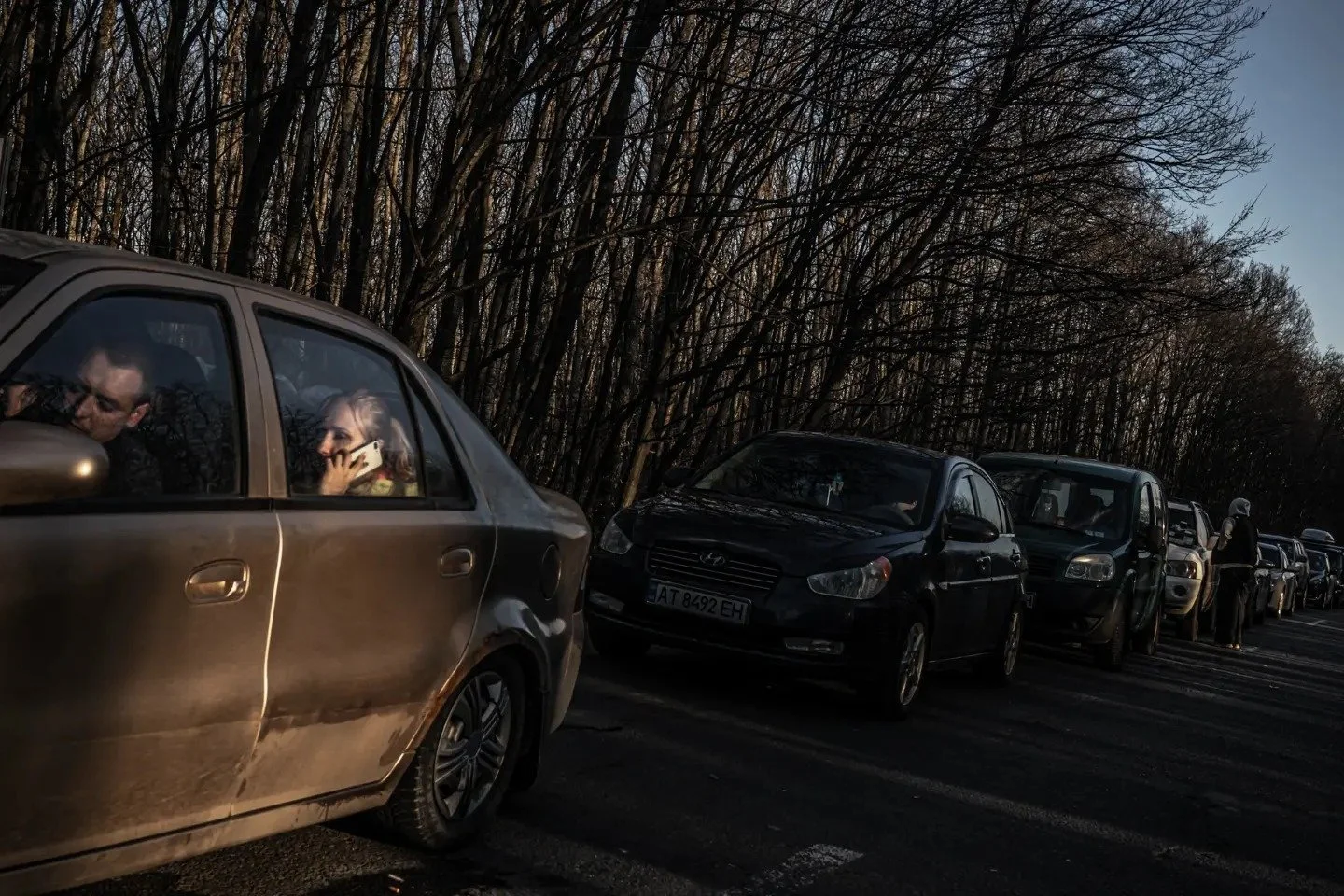 Line of parked cars along a roadside with leafless trees in the background at dusk.