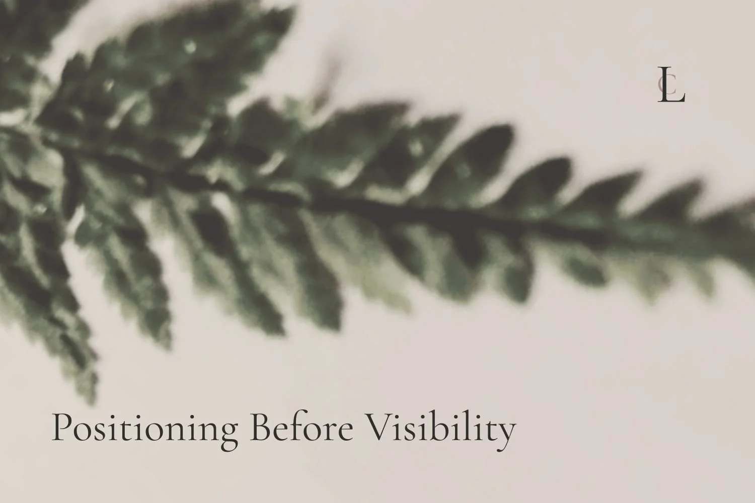 Positioning Before Visibility