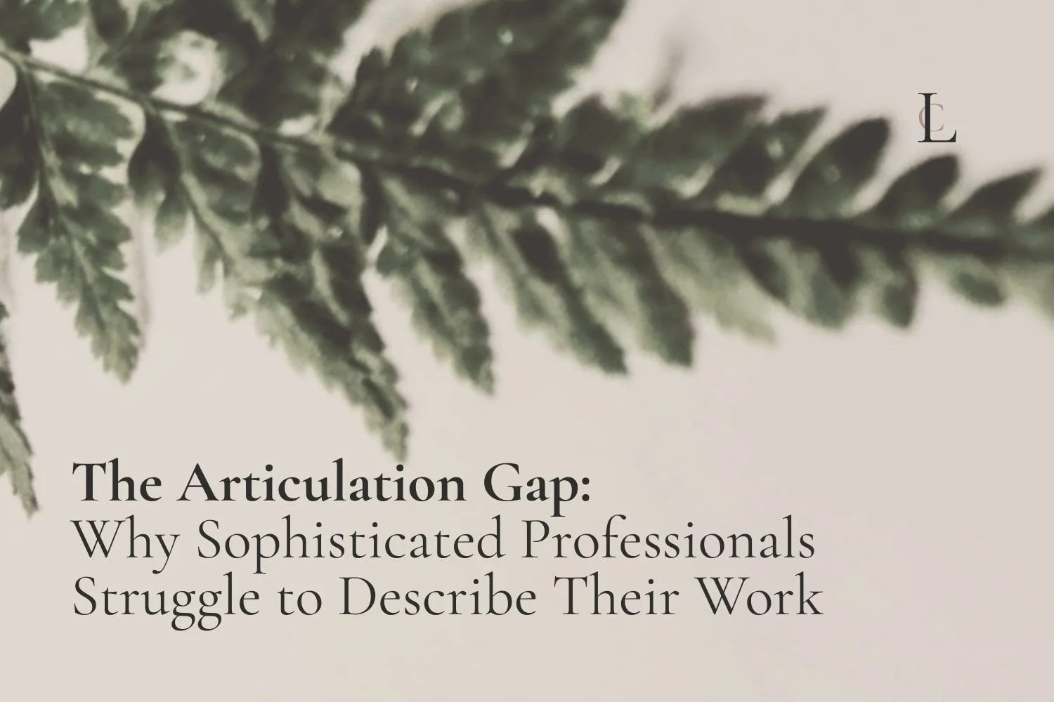 The Articulation Gap: Why Sophisticated Professionals Struggle to Describe Their Work